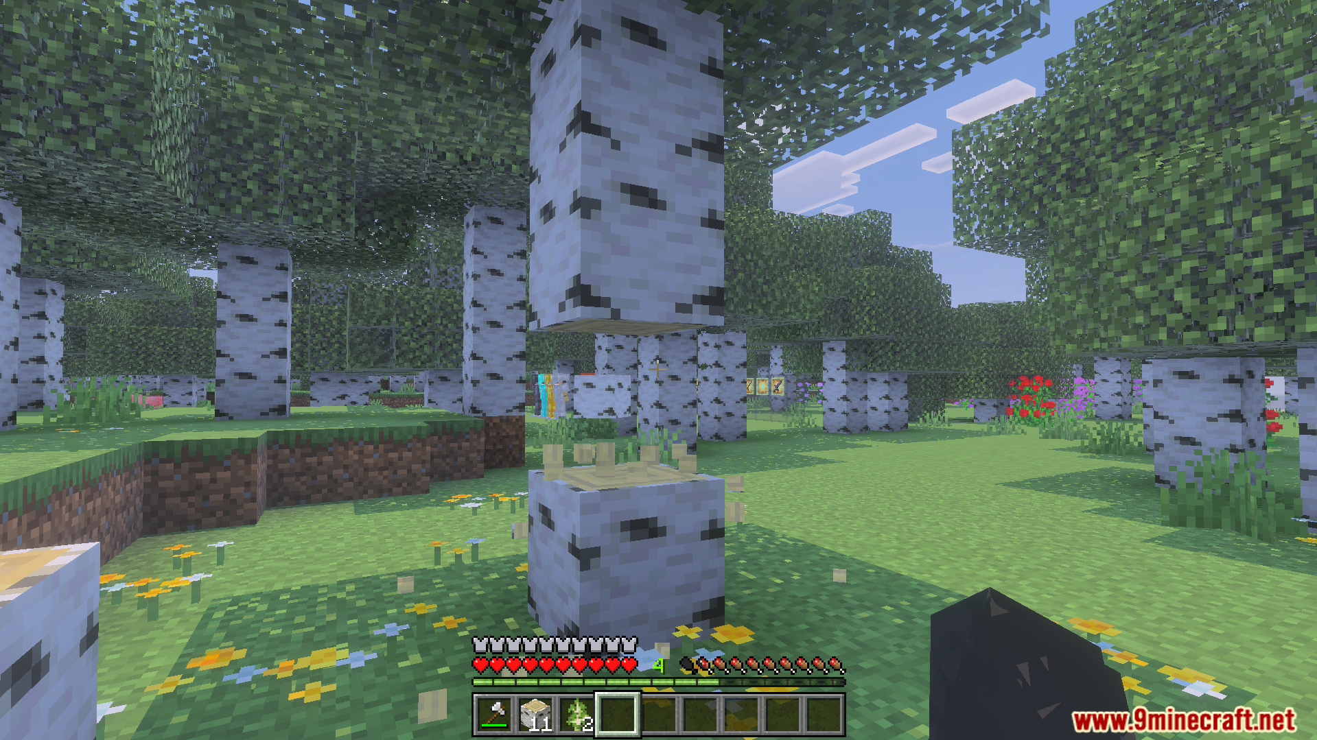 Actual Tree Capitator Addon allows players to chop down whole trees at once