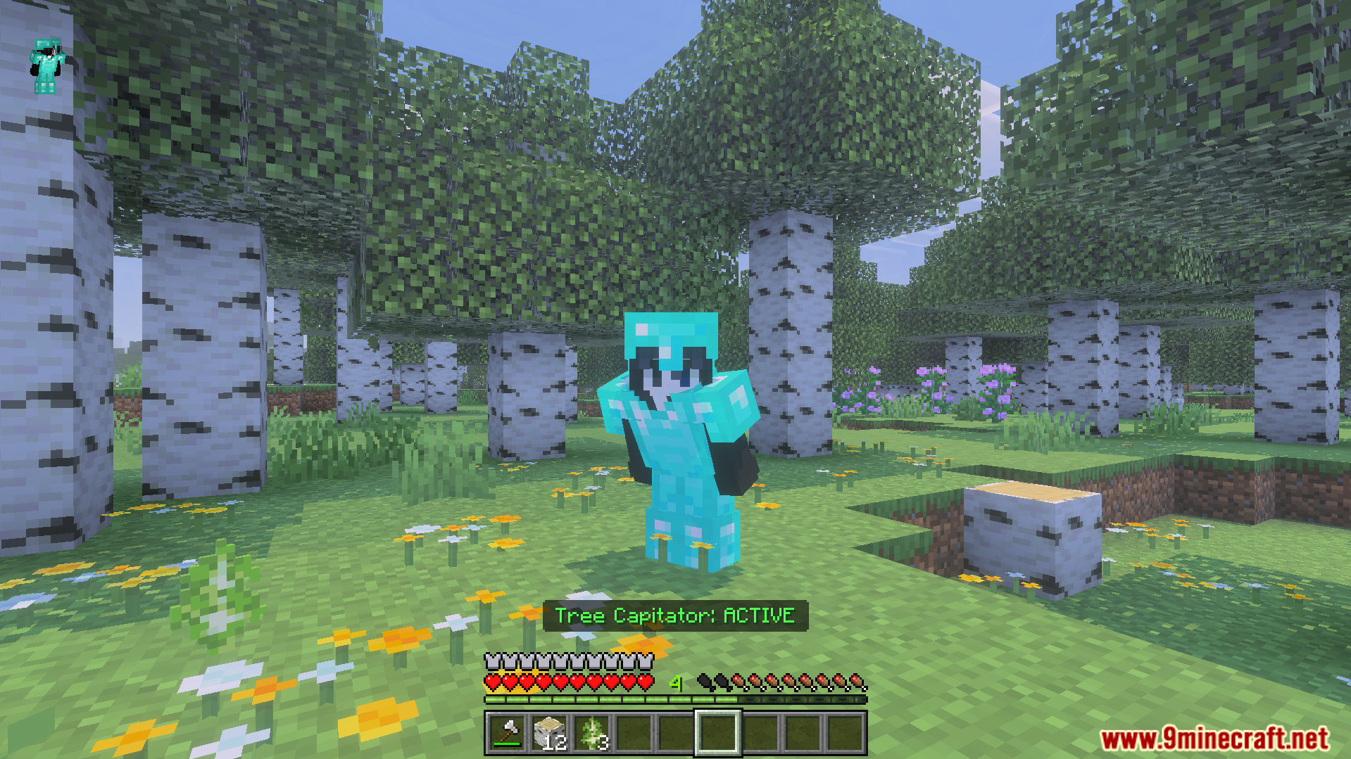 Player in diamond armor standing in a birch forest with Tree Capitator active