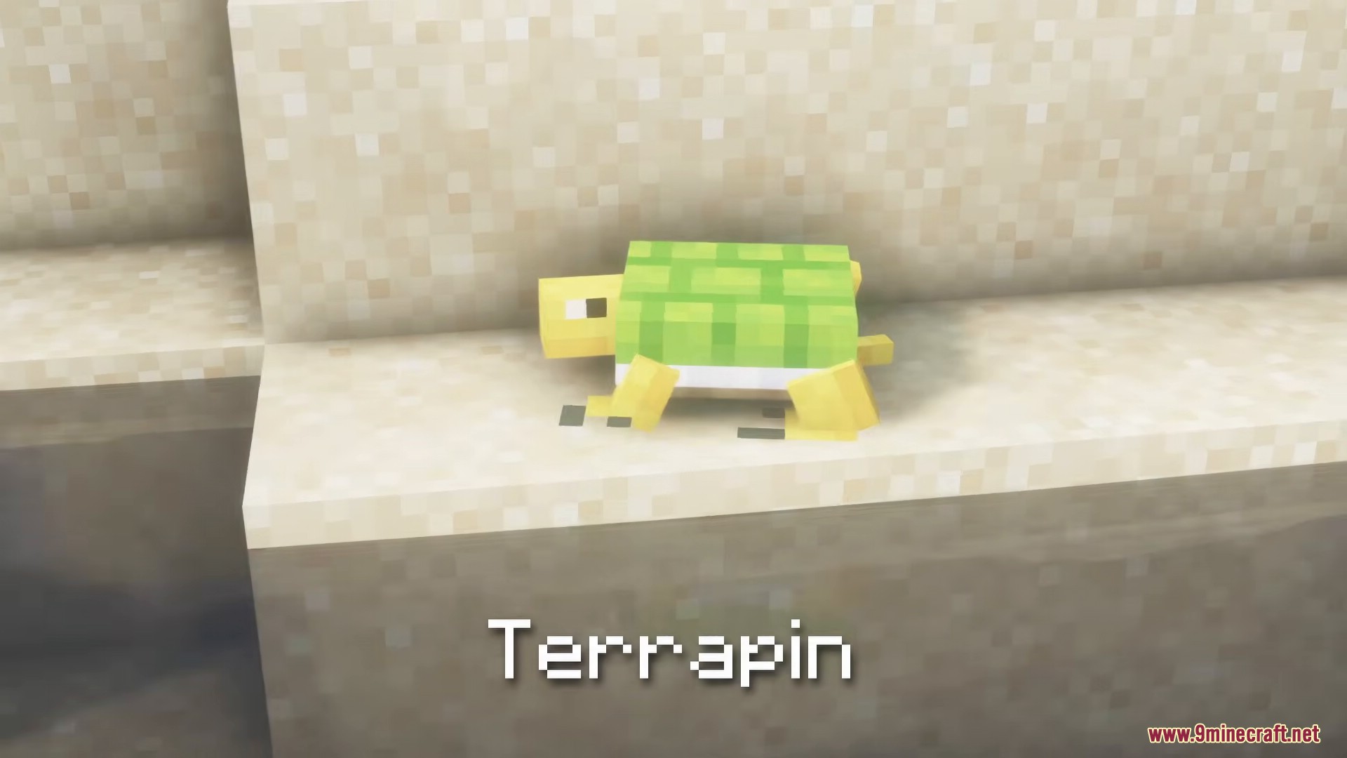 A small yellow terrapin with a green shell resting on a sandy block