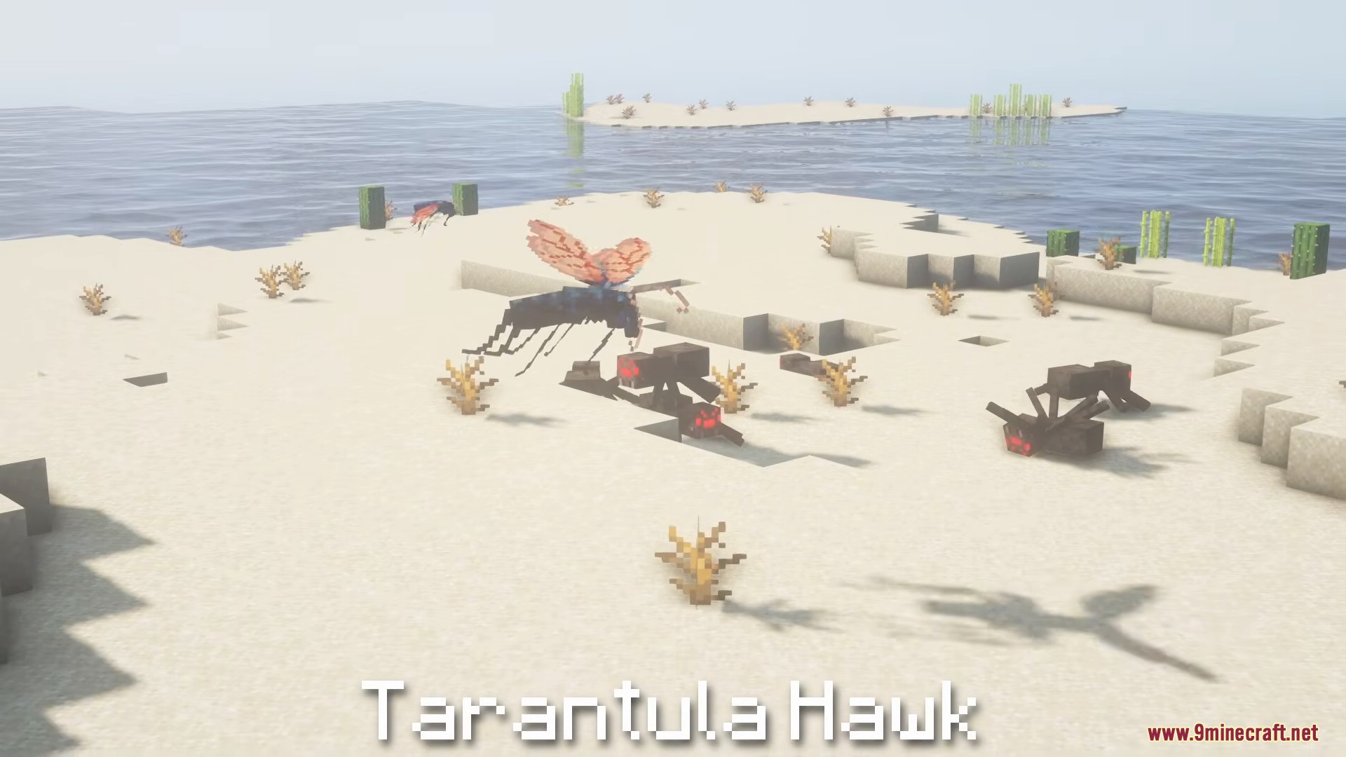 A giant tarantula hawk wasp attacks spiders in a sandy desert biome