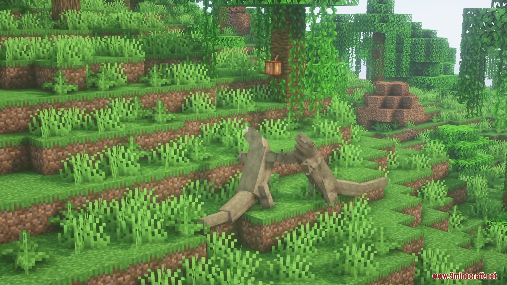 Two Komodo dragons wrestling each other on a grassy jungle hillside