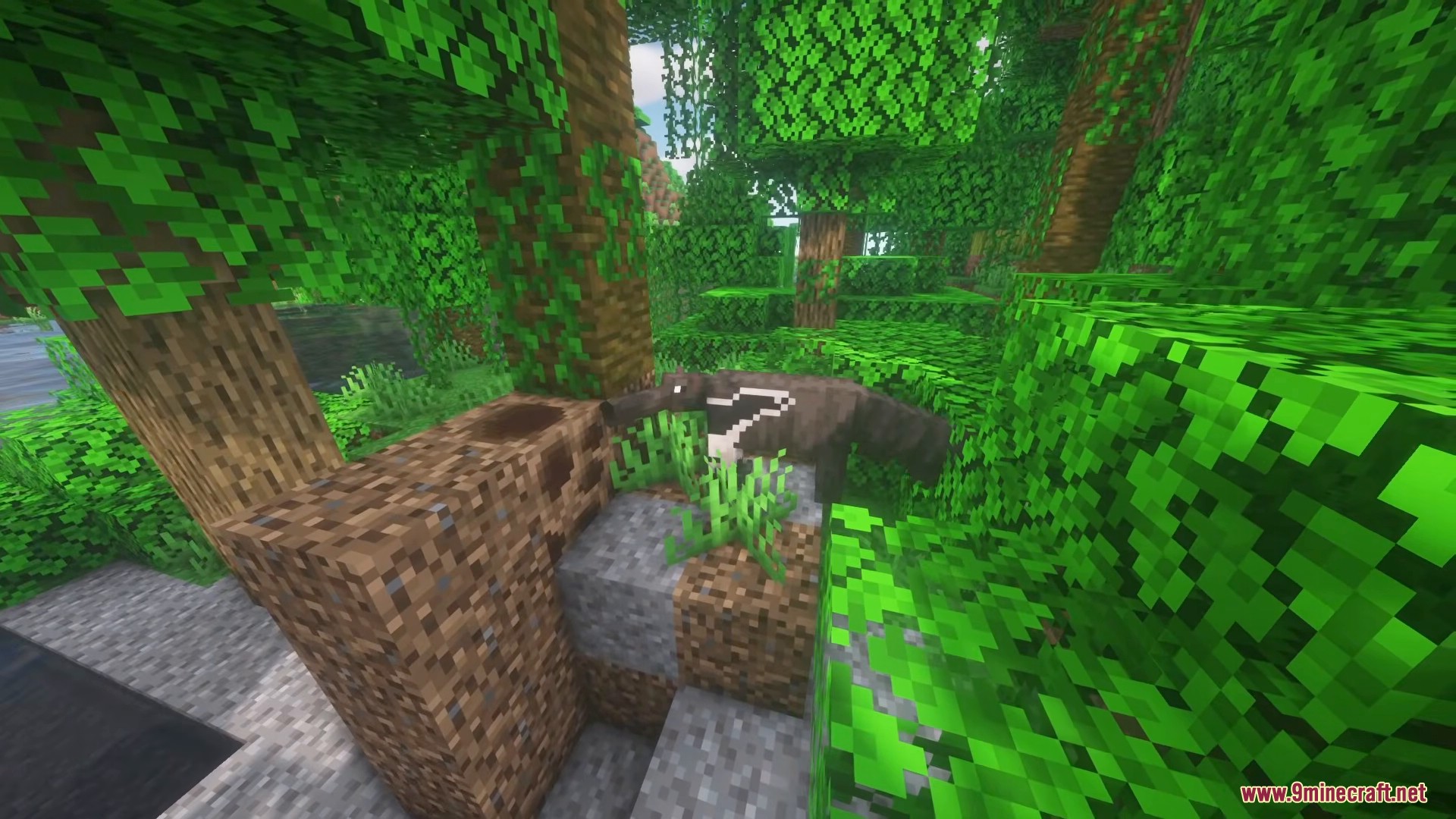 A giant anteater standing near a termite mound in a lush green jungle