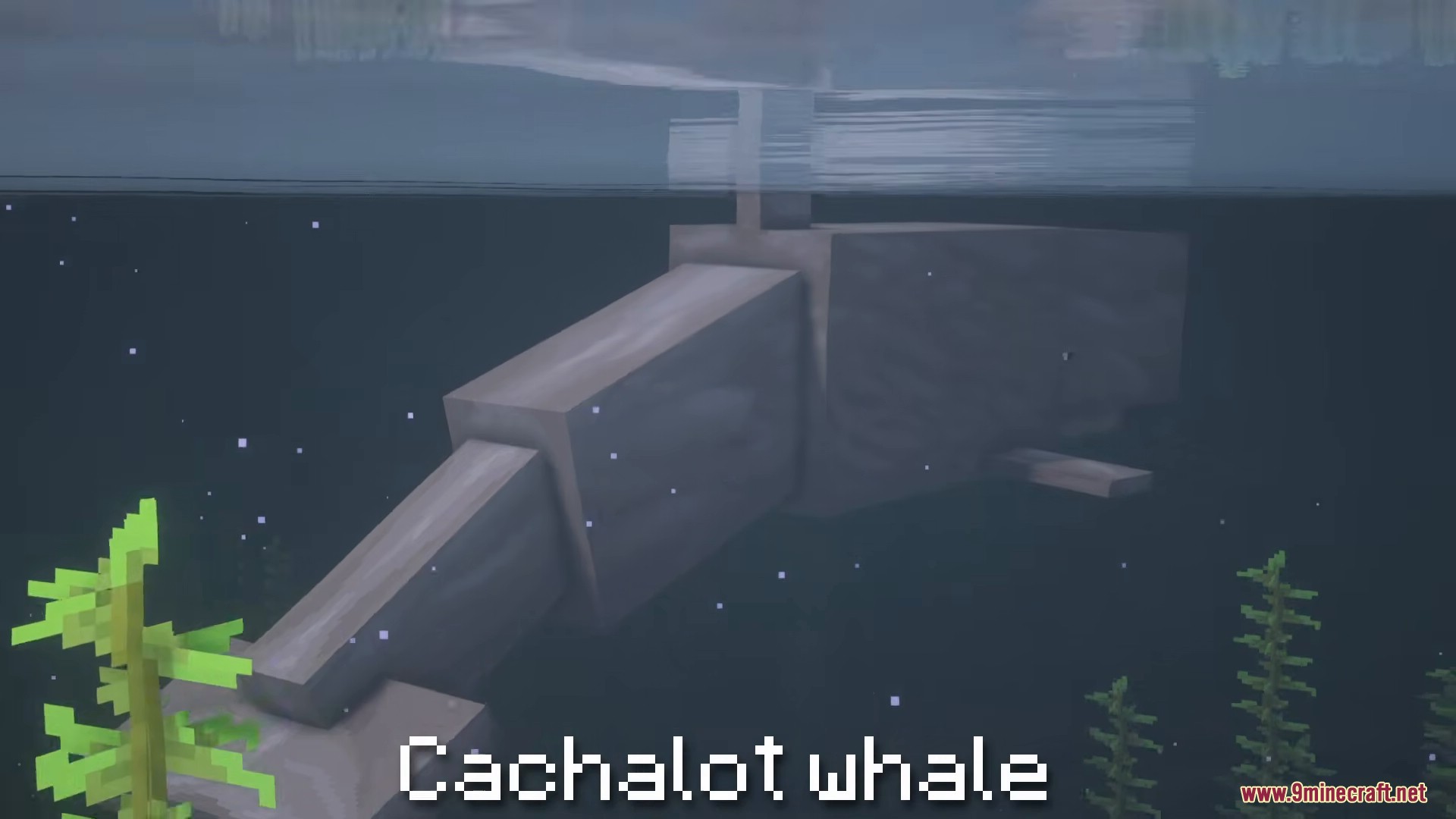 A massive Cachalot whale from Alexs Mobs swimming through the deep ocean