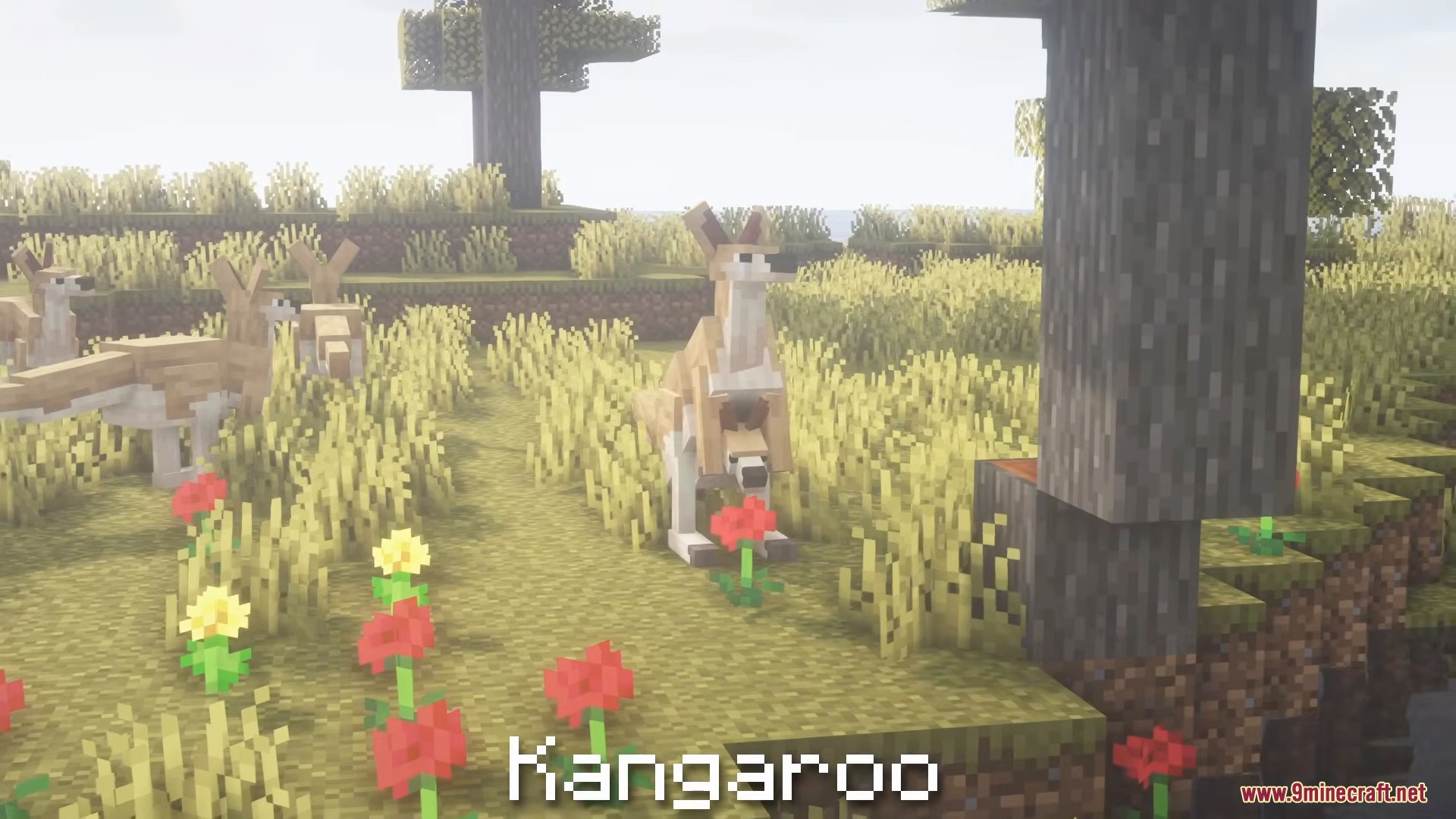 A kangaroo with a joey in its pouch stands among colorful flowers