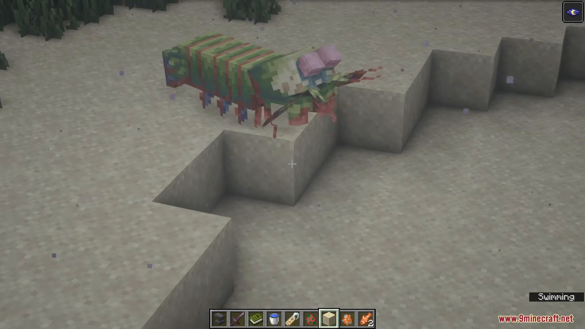 A colorful mantis shrimp swimming underwater near sand blocks in Minecraft