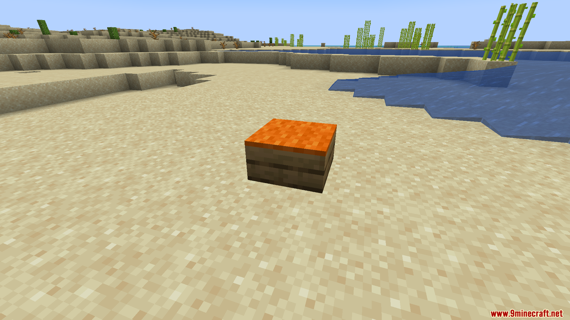 Amendments Spanish Translation Resource Pack Screenshot 4 An orange carpet placed on top of a wooden slab in a desert