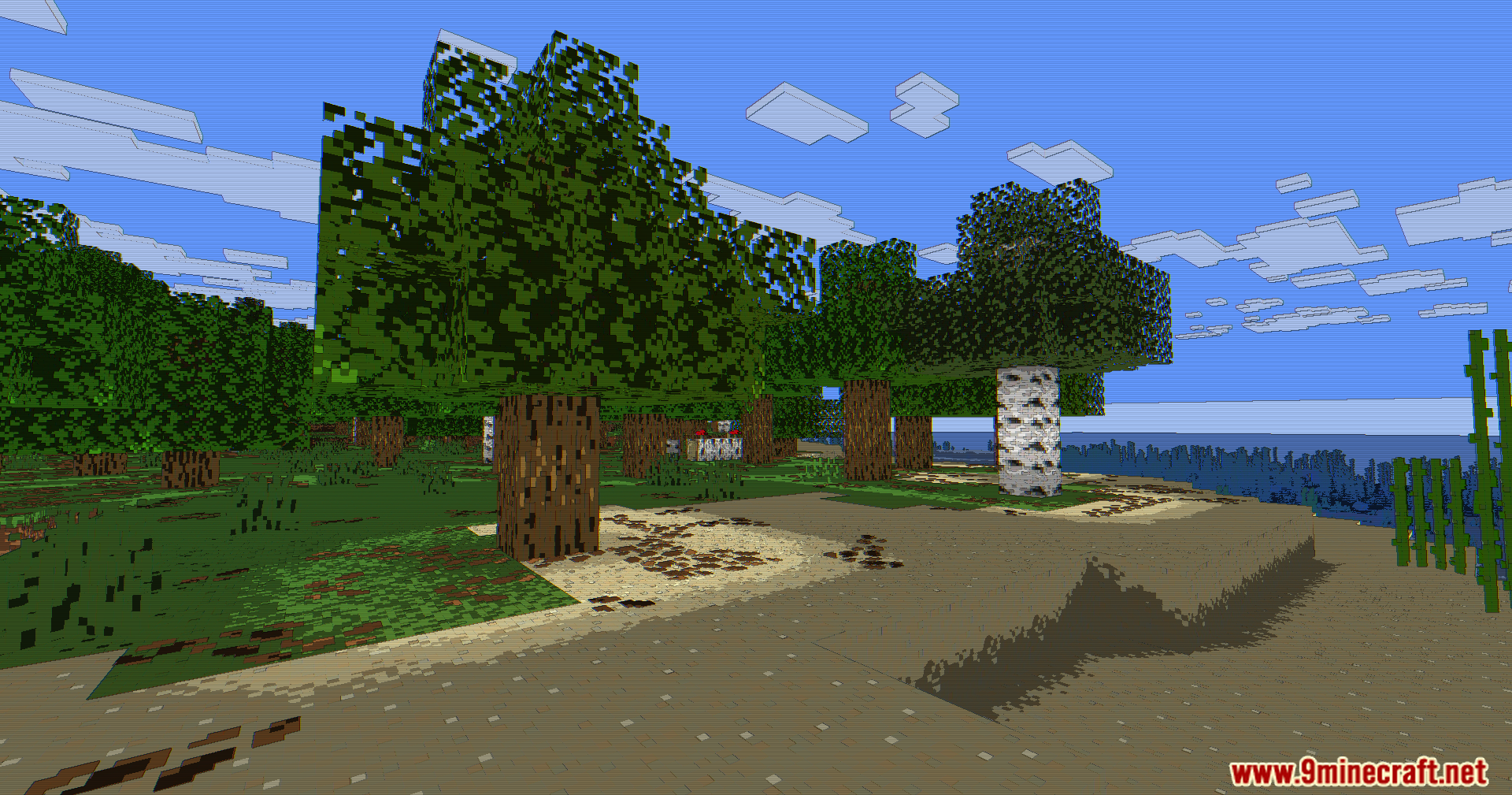 A peaceful shoreline with trees and sugar cane next to the blue water