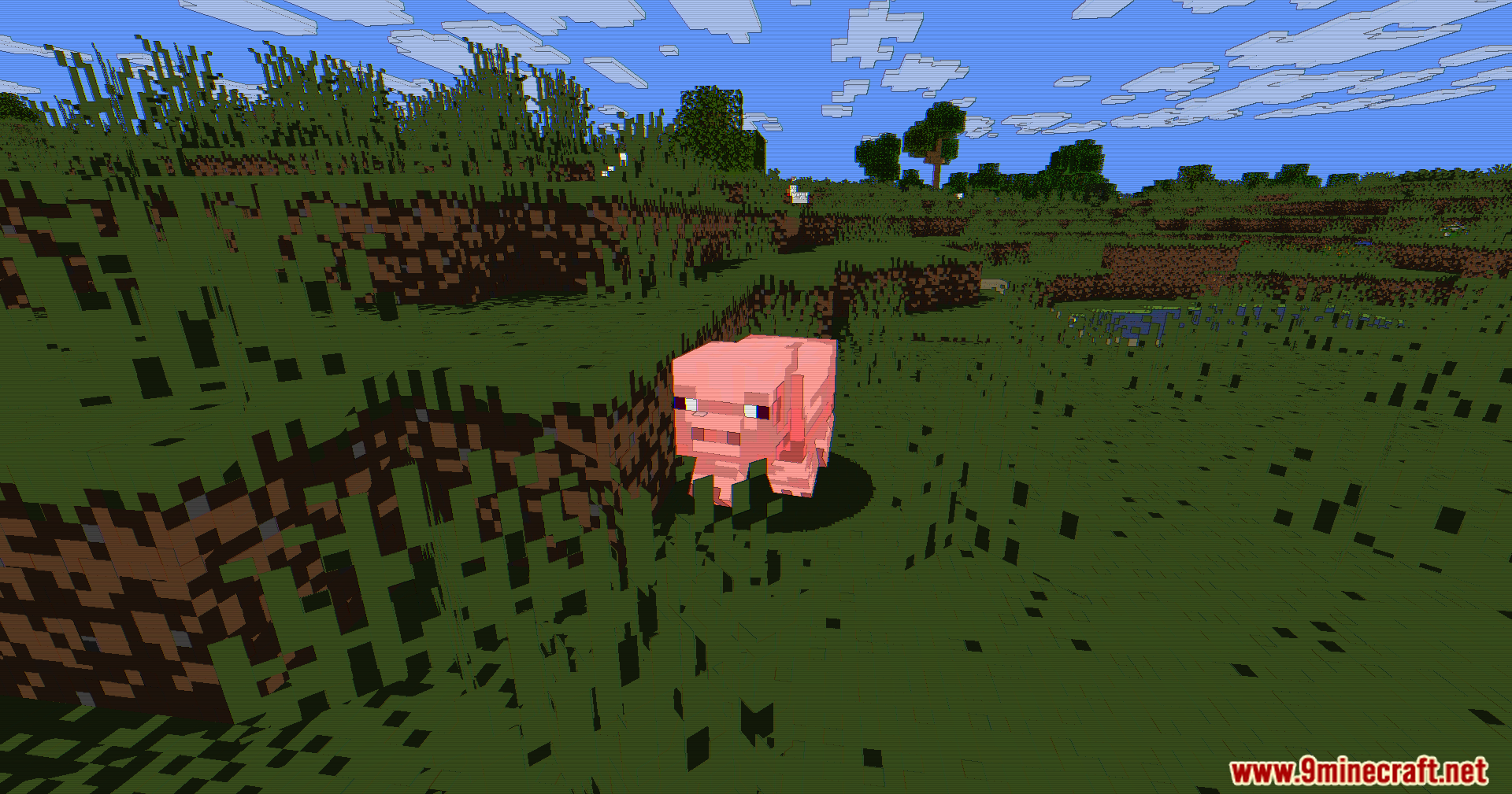 Close up of a pig in a field with distinct dark outlines