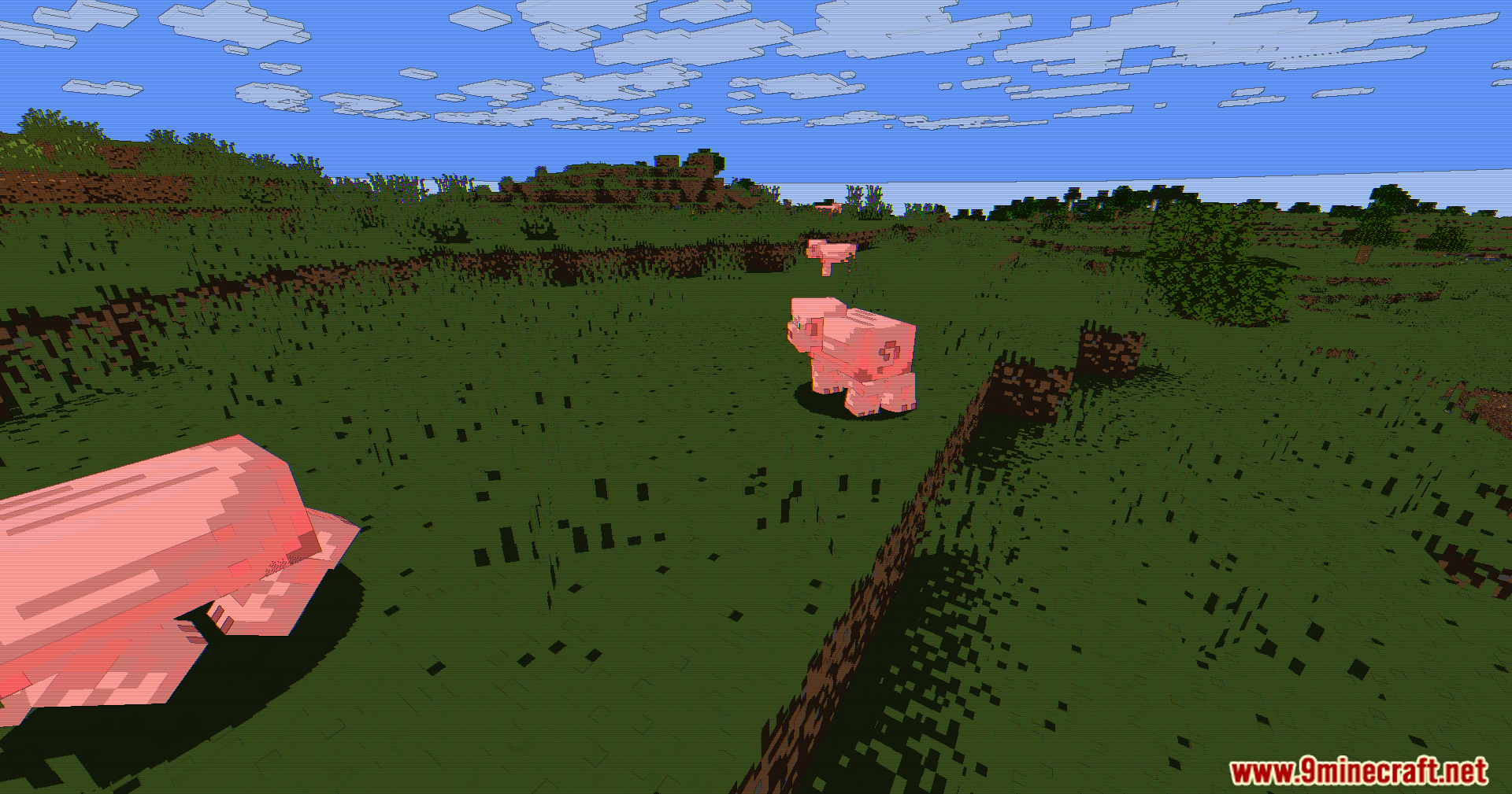 Animetro Shaders adds dark outlines and vibrant colors to pigs in a field