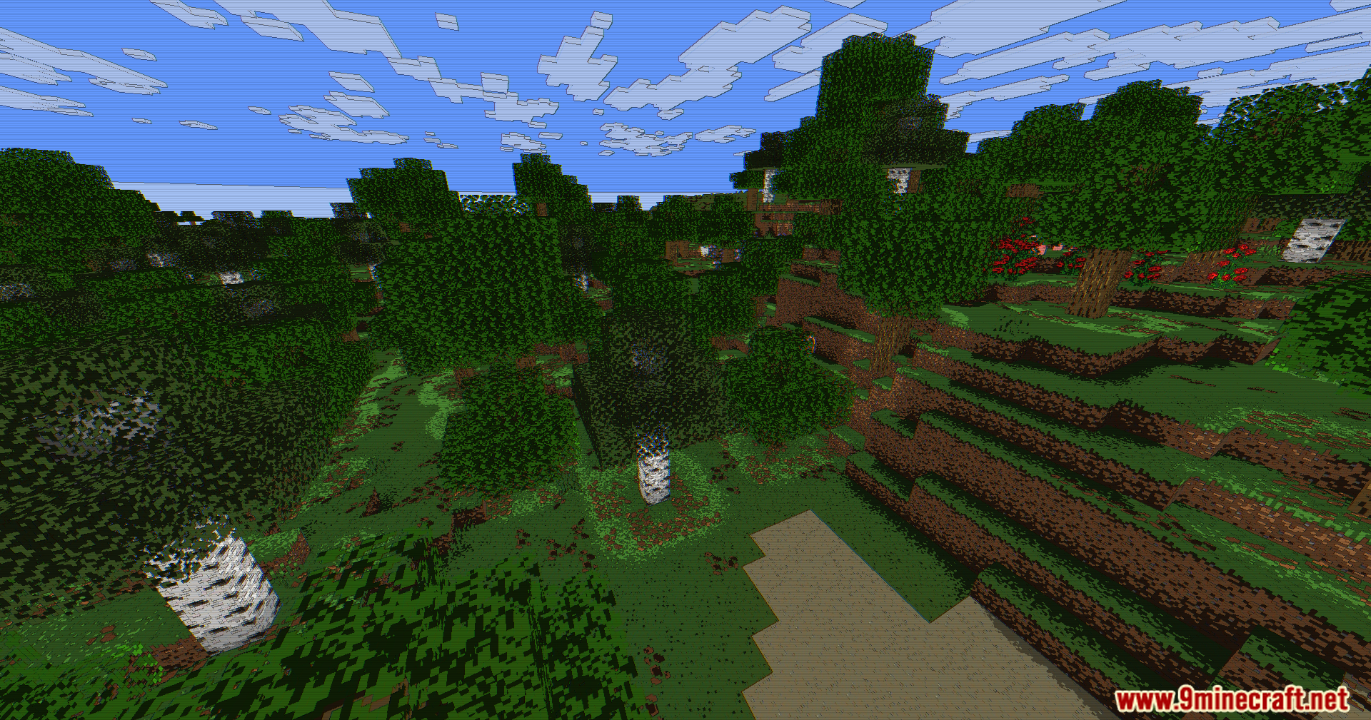 A lush green forest with birch trees and rolling hills under a bright sky