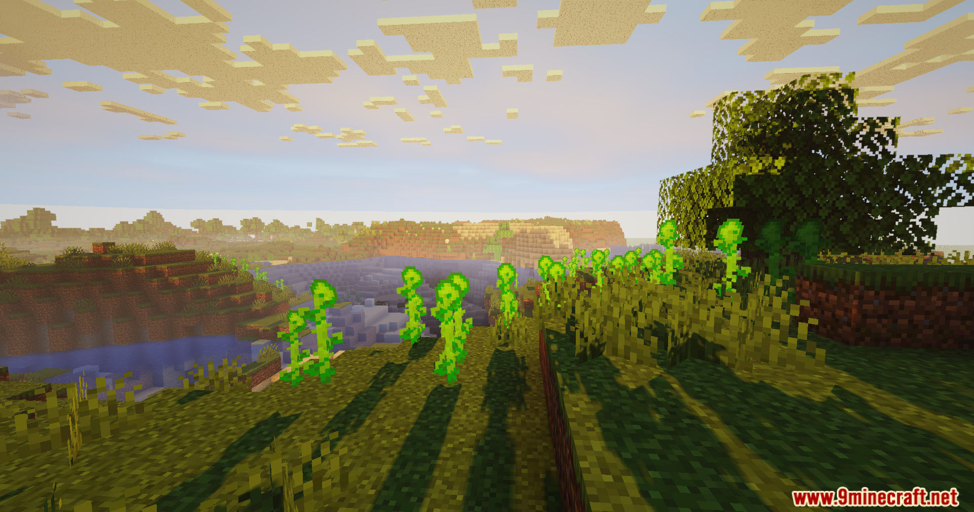 Vibrant green plants glow on a hillside during a soft Minecraft sunset