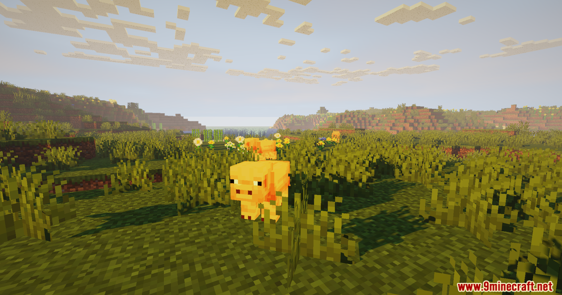 A pig stands in a grassy field with flowers under warm sunlight
