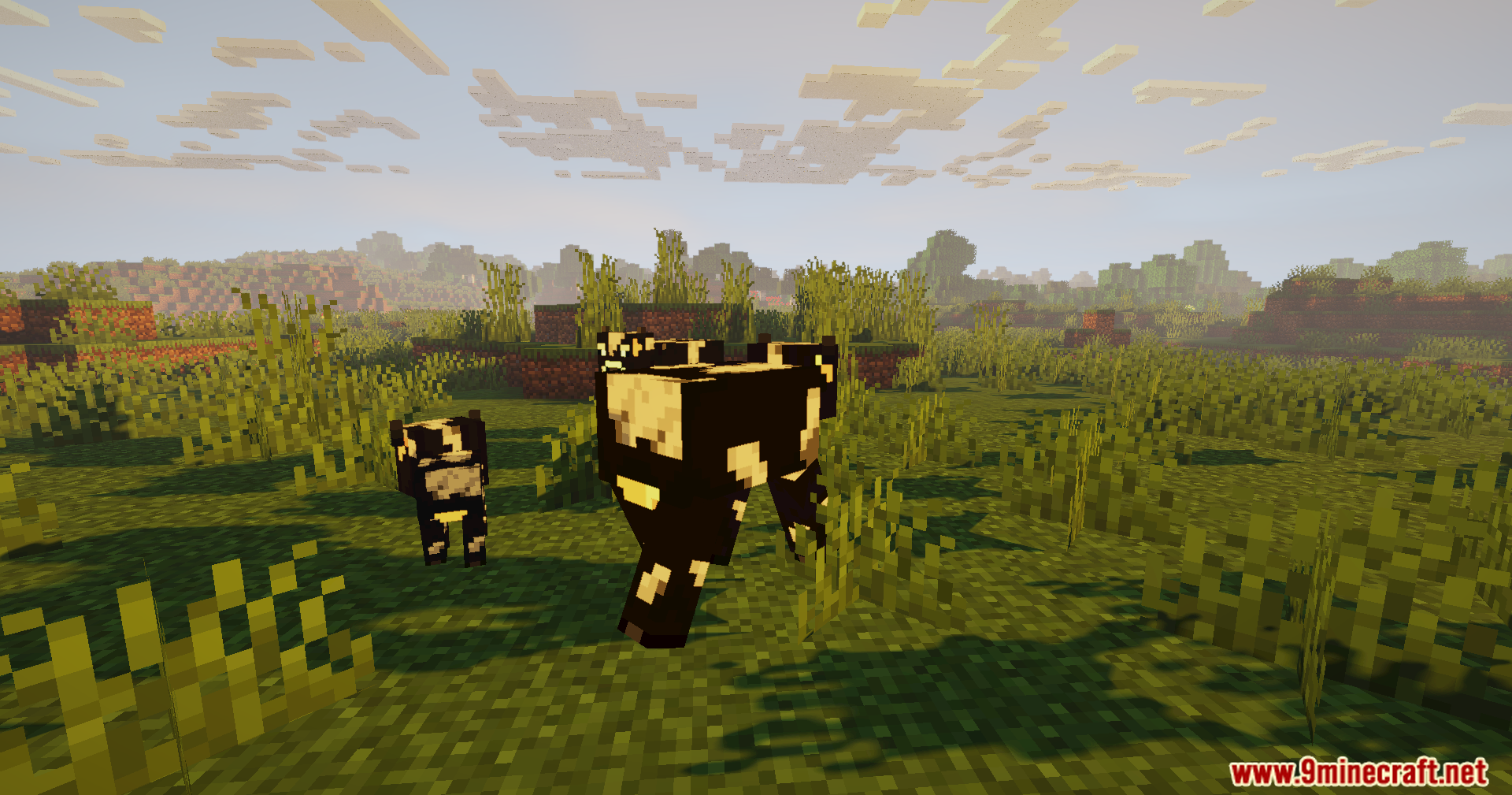 Two cows standing in a grassy field under a bright sunny sky