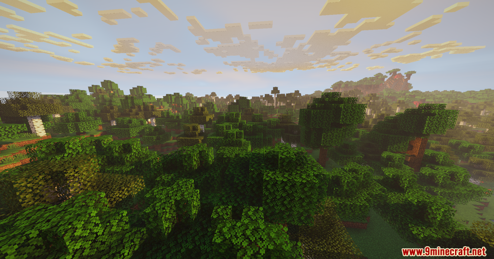 AuraLite Shaders create realistic lighting and volumetric clouds over a dense forest