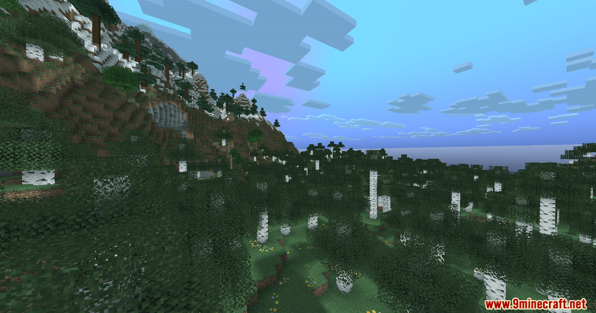 Looking through a birch forest towards a steep mountain slope under blue clouds