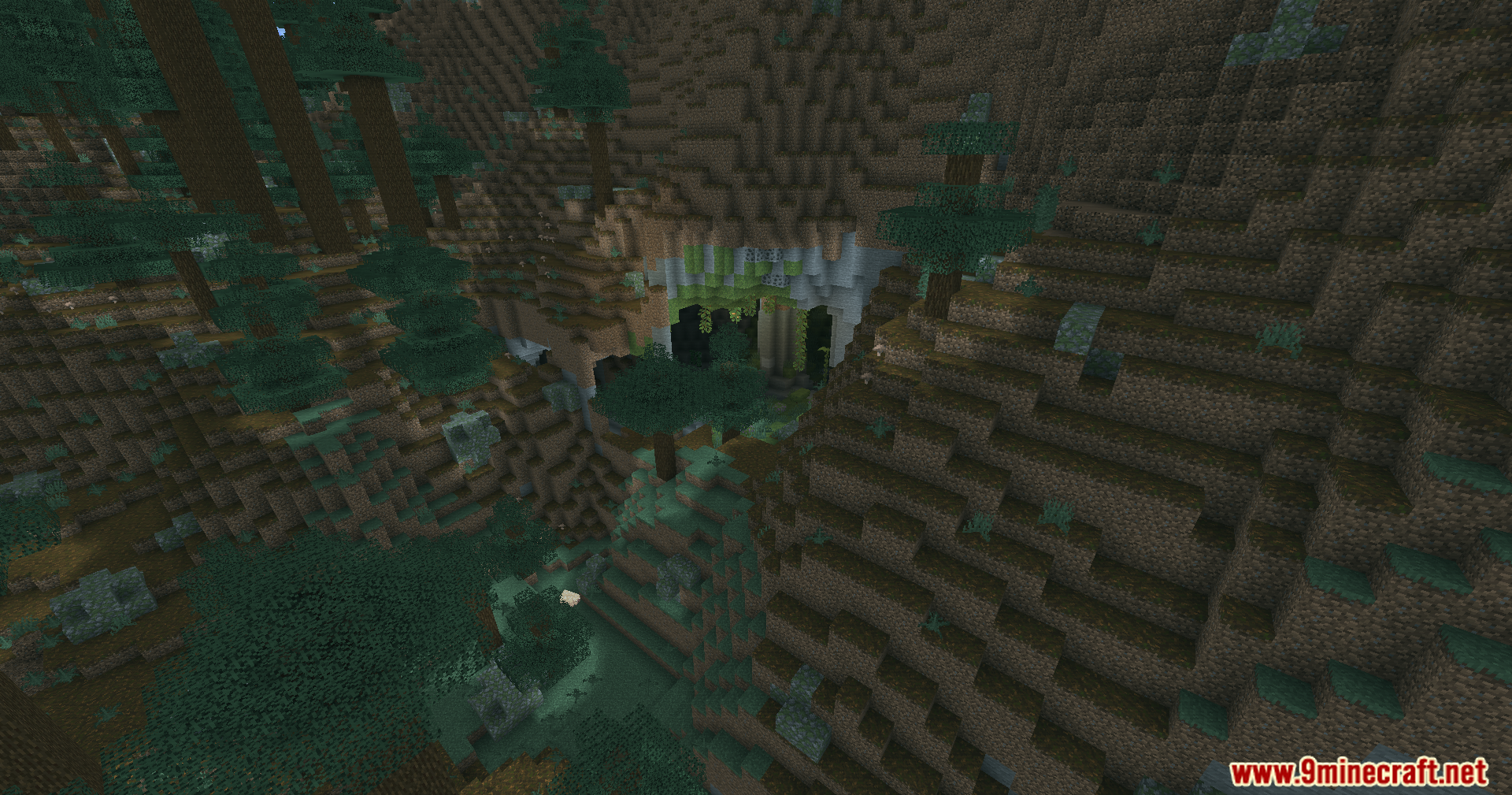 A dense spruce forest biome with a cave entrance under cyan ambient lighting
