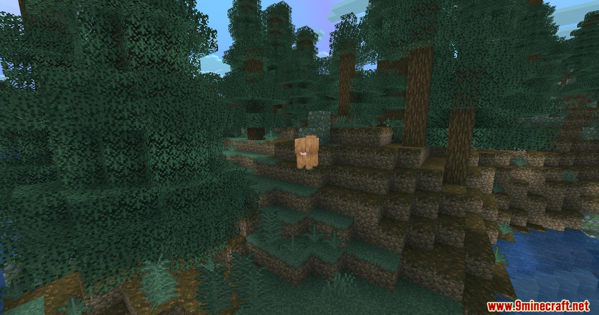 A brown sheep stands on podzol in a spruce forest with teal lighting