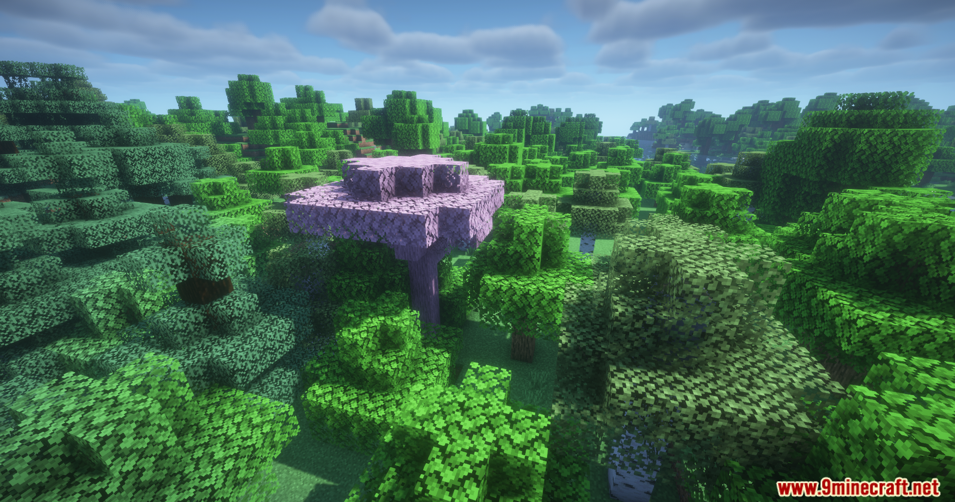 A light pink tree grows in the middle of a dense forest