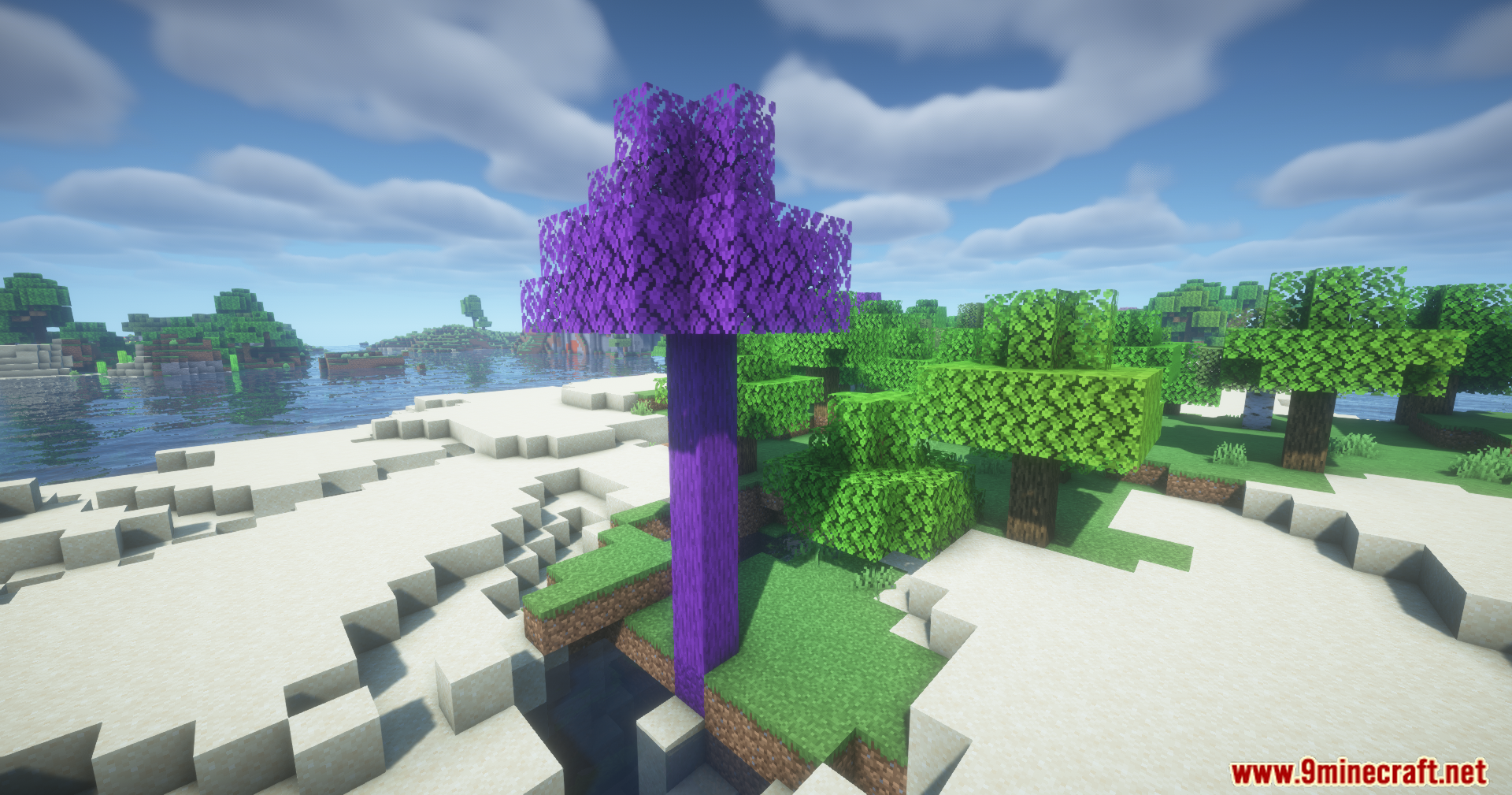 A tall purple tree standing among normal green trees on a beach