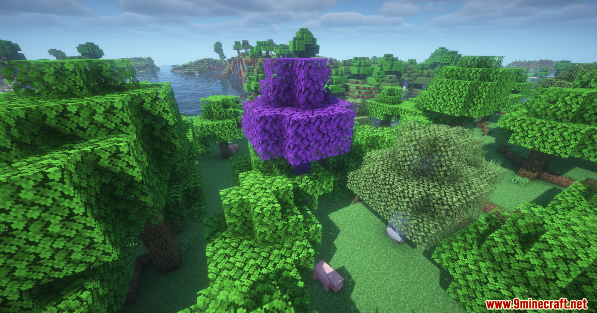 A vibrant purple tree stands out among green trees in a forest