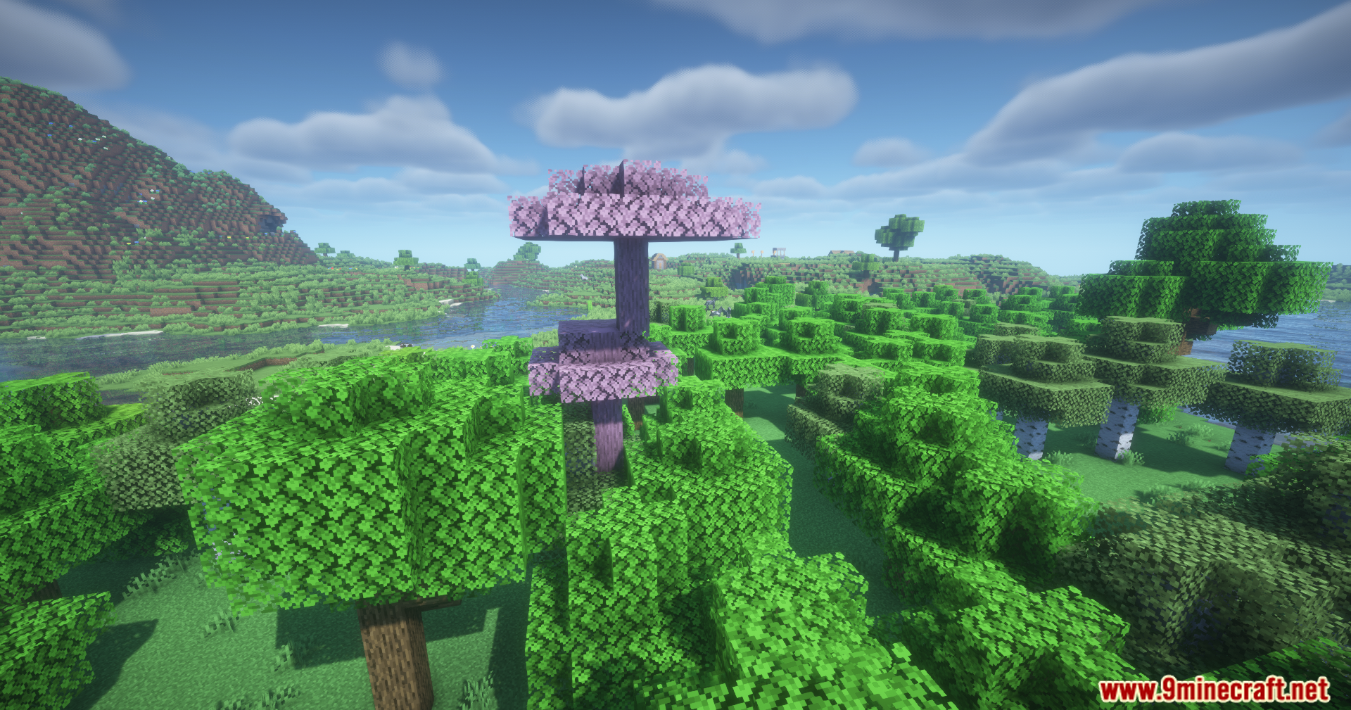 A tall pink tree with a flat top grows in the forest