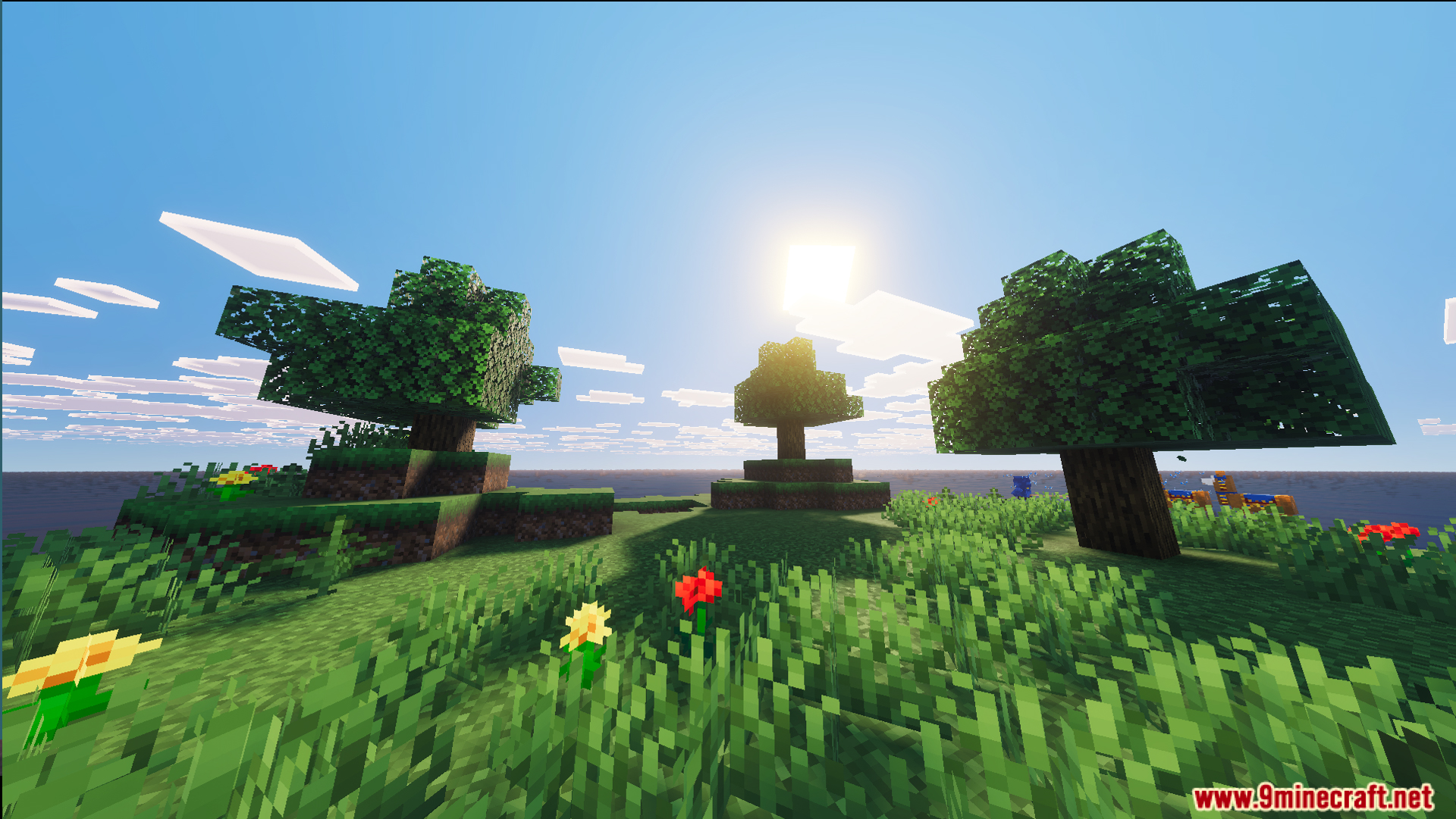 Close up of a tiny grassy island featuring three trees and flowers