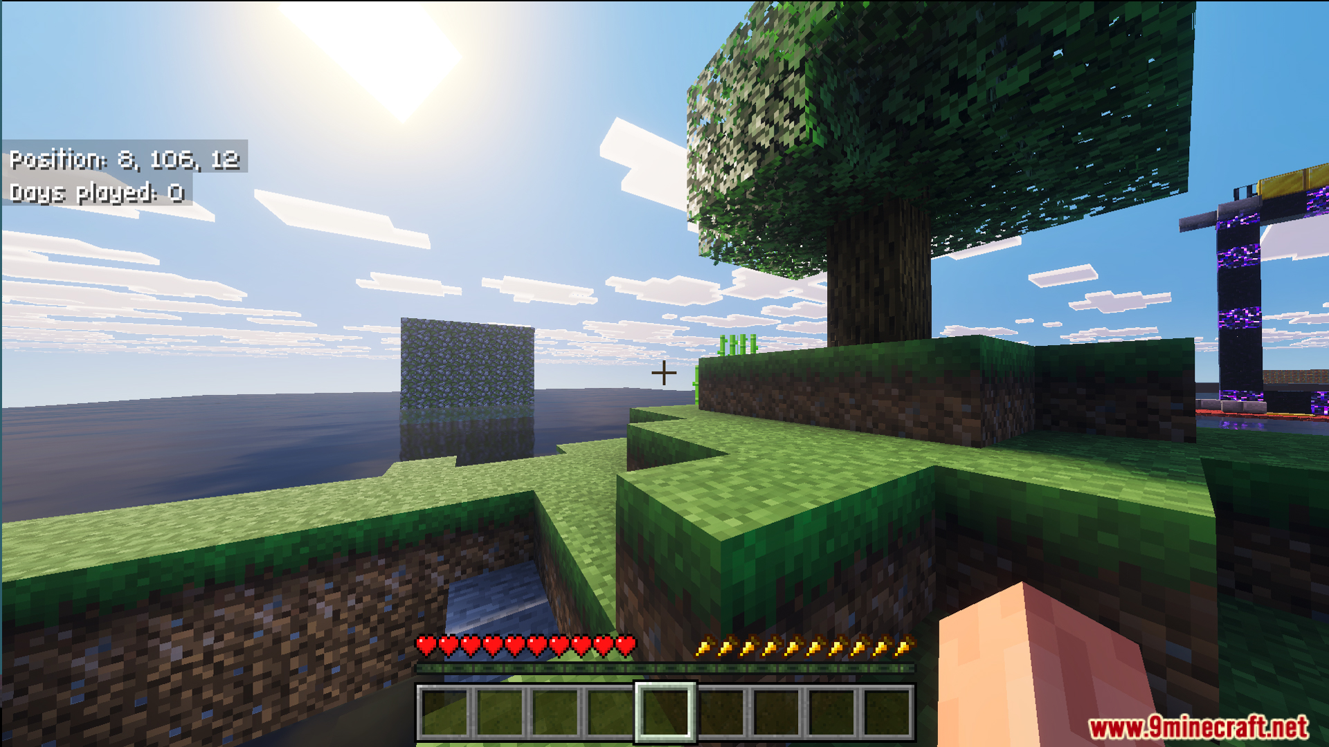 Player on a tiny grassy island with a tree and a ruined portal