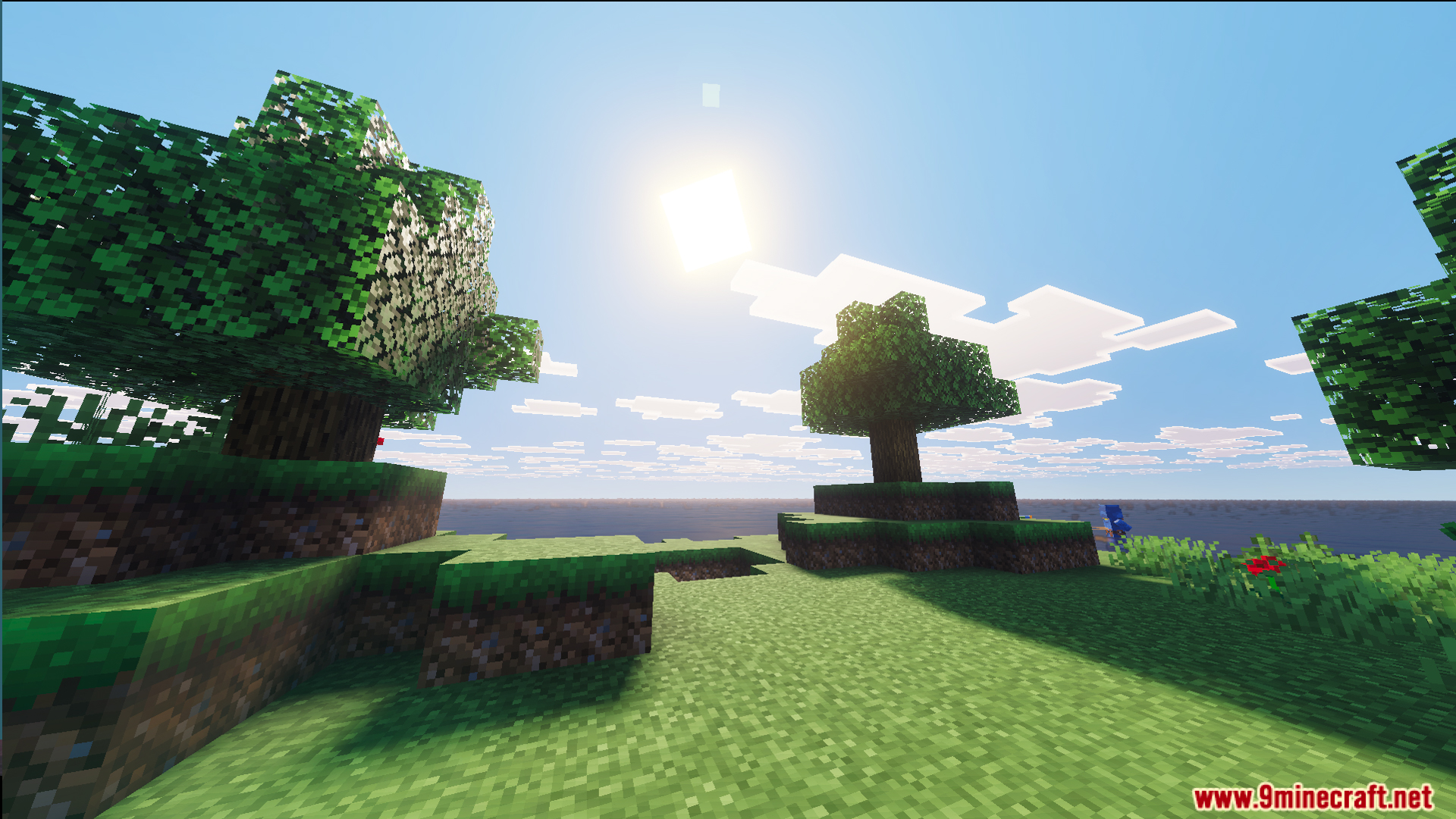 A small grassy island with trees under a bright sun in the ocean