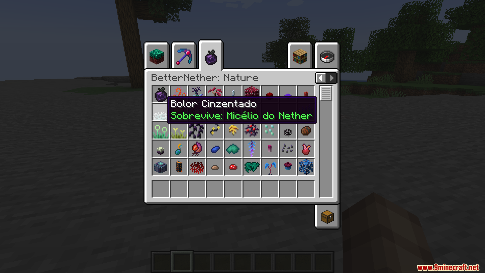 Better Nether PT BR Translation Resource Pack Screenshot 13 BetterNether nature tab showing the Gray Mold item translated into Portuguese