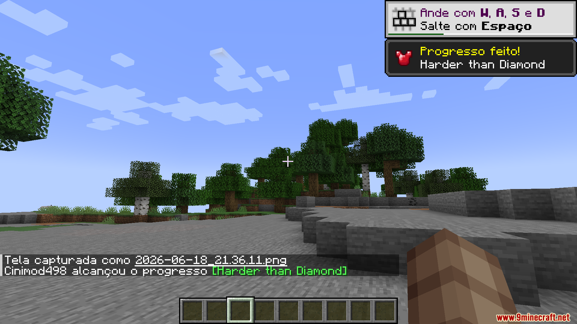 Better Nether PT BR Translation Resource Pack Screenshot 9 Player earns an advancement with Portuguese text while standing in a forest biome