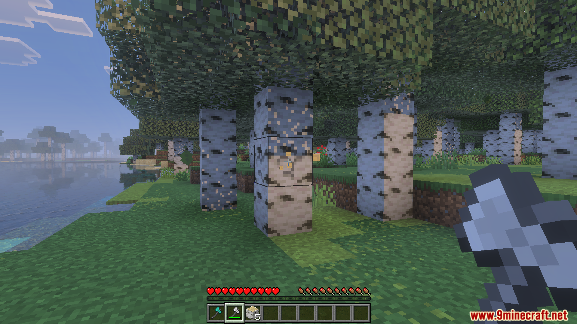 Player holding an axe while targeting a birch tree in the forest