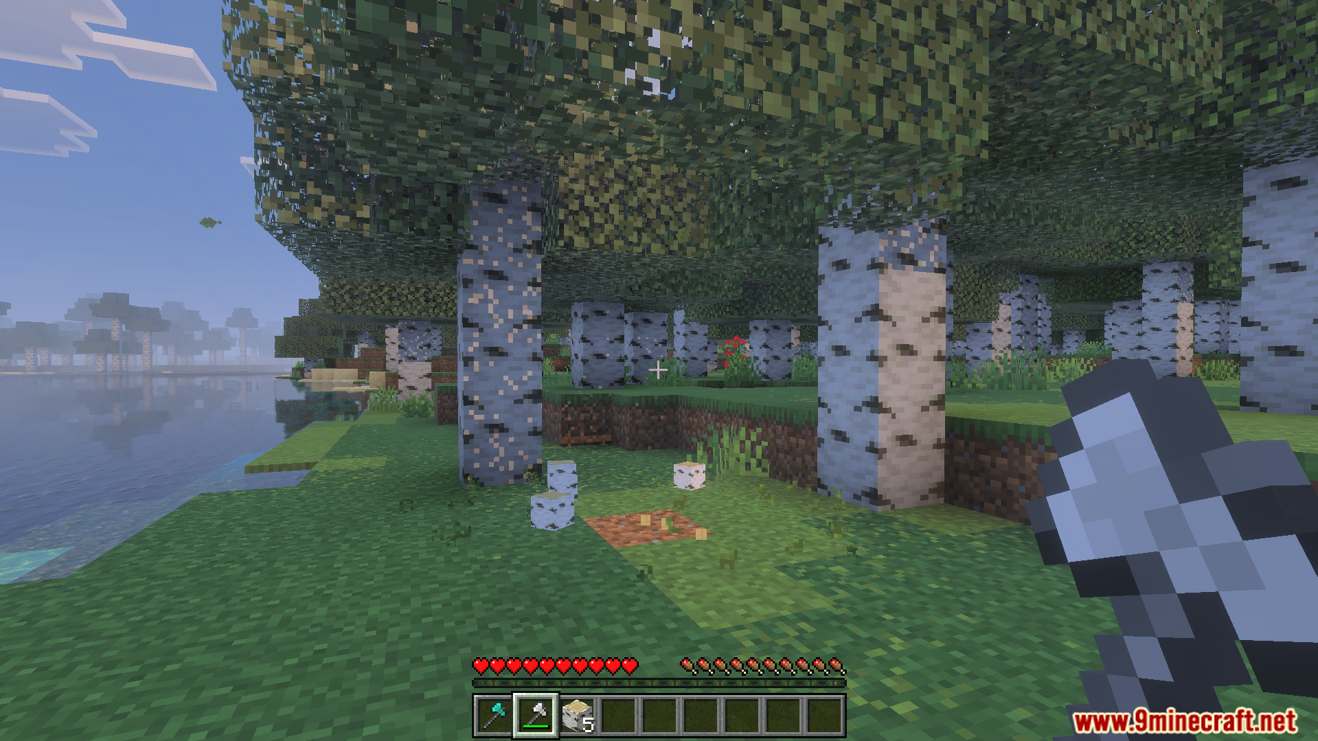 Player holding a stone axe in a forest with dropped birch logs