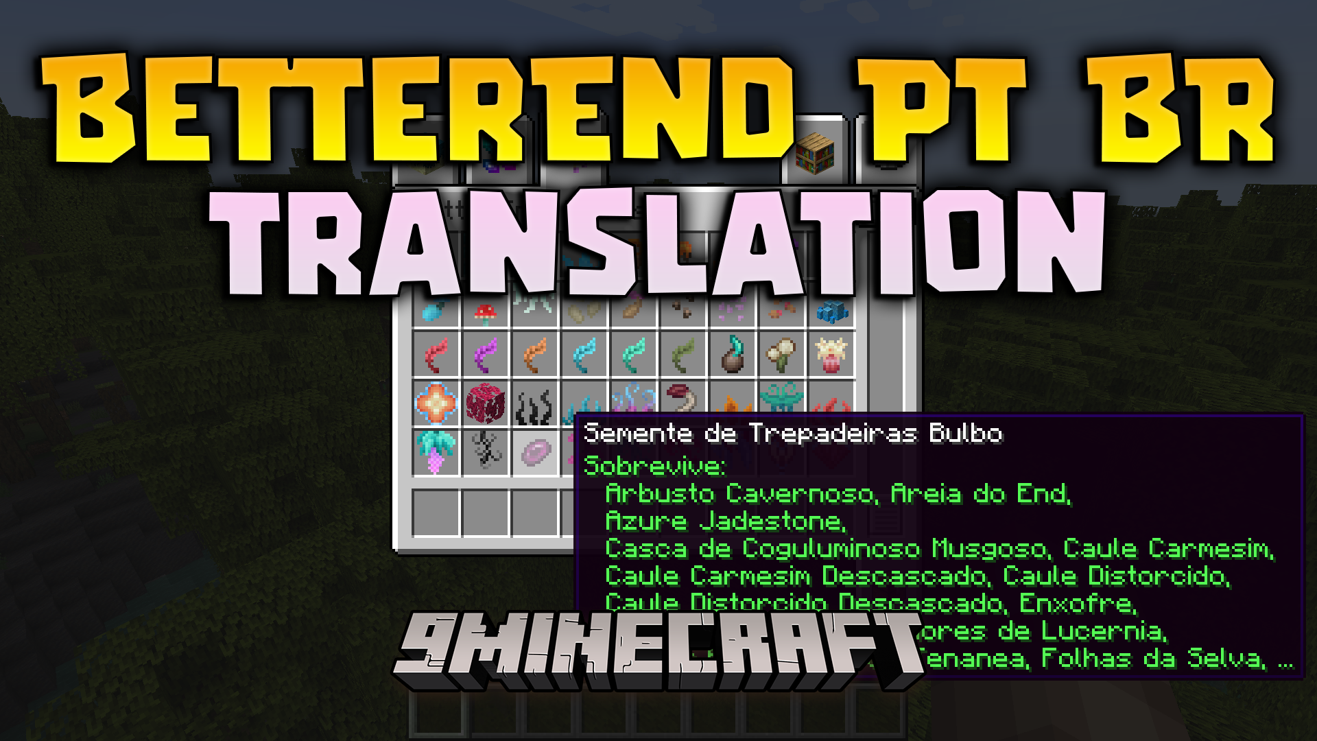 BetterEnd PT BR Translation Resource Pack