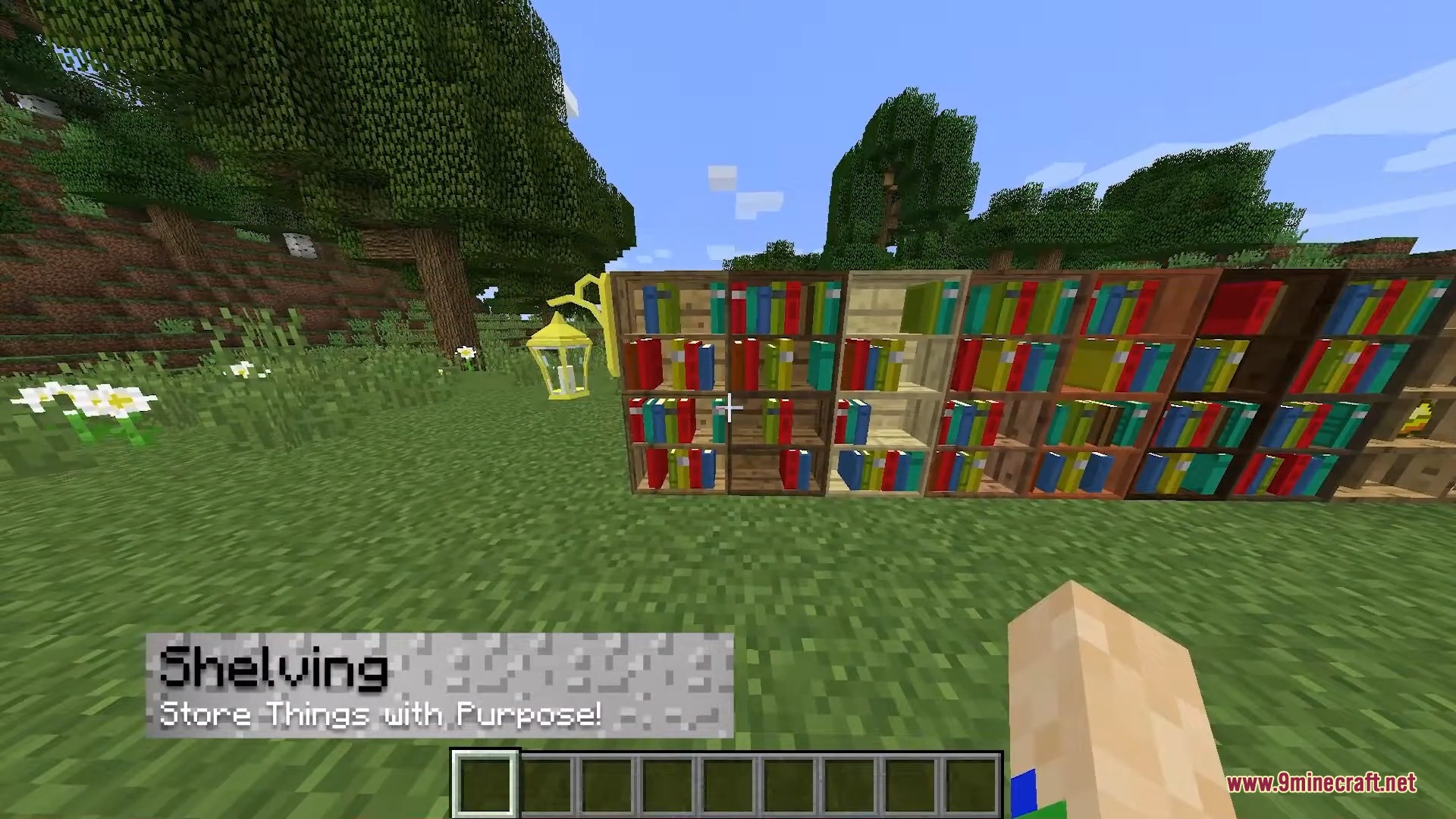 A variety of wooden bookshelves filled with colorful books in a grassy field