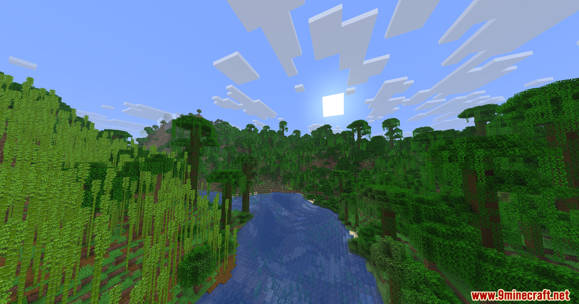 Lush jungle biome featuring tall bamboo stalks and a river under bright sun