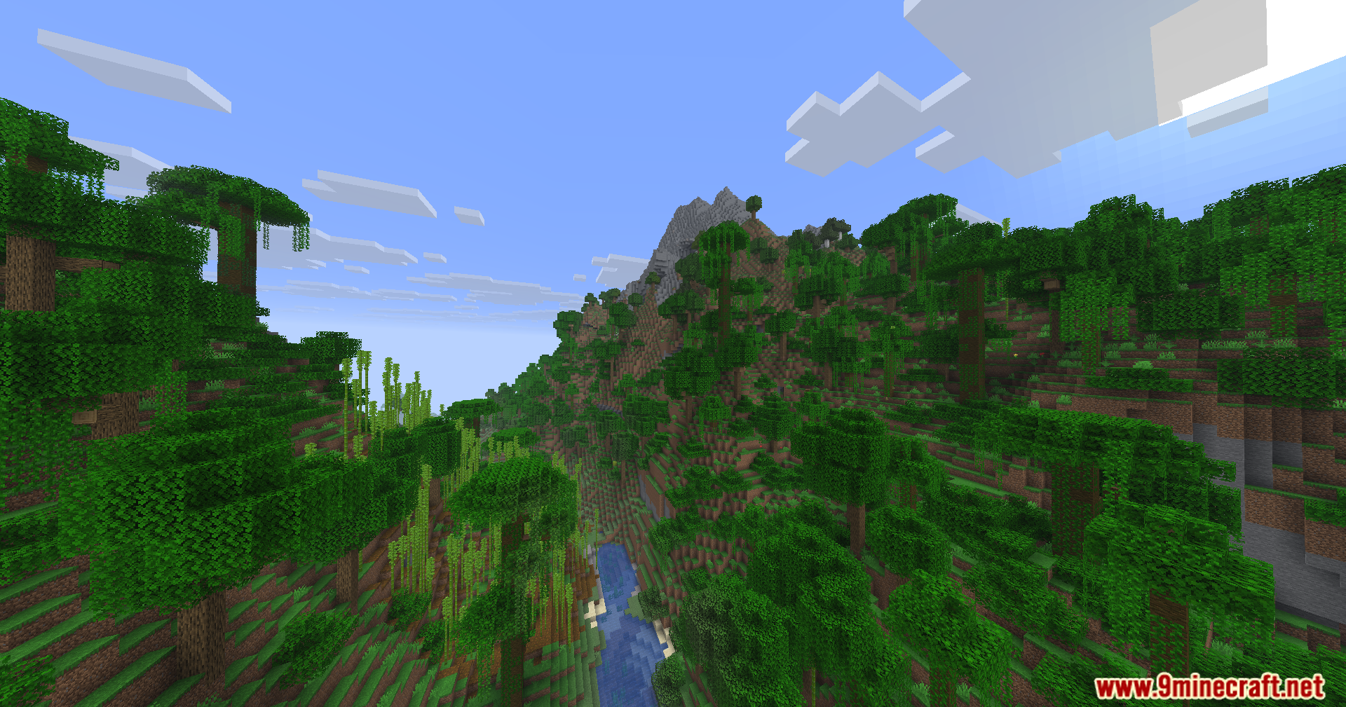Dense jungle trees covering a mountain slope next to a small blue river