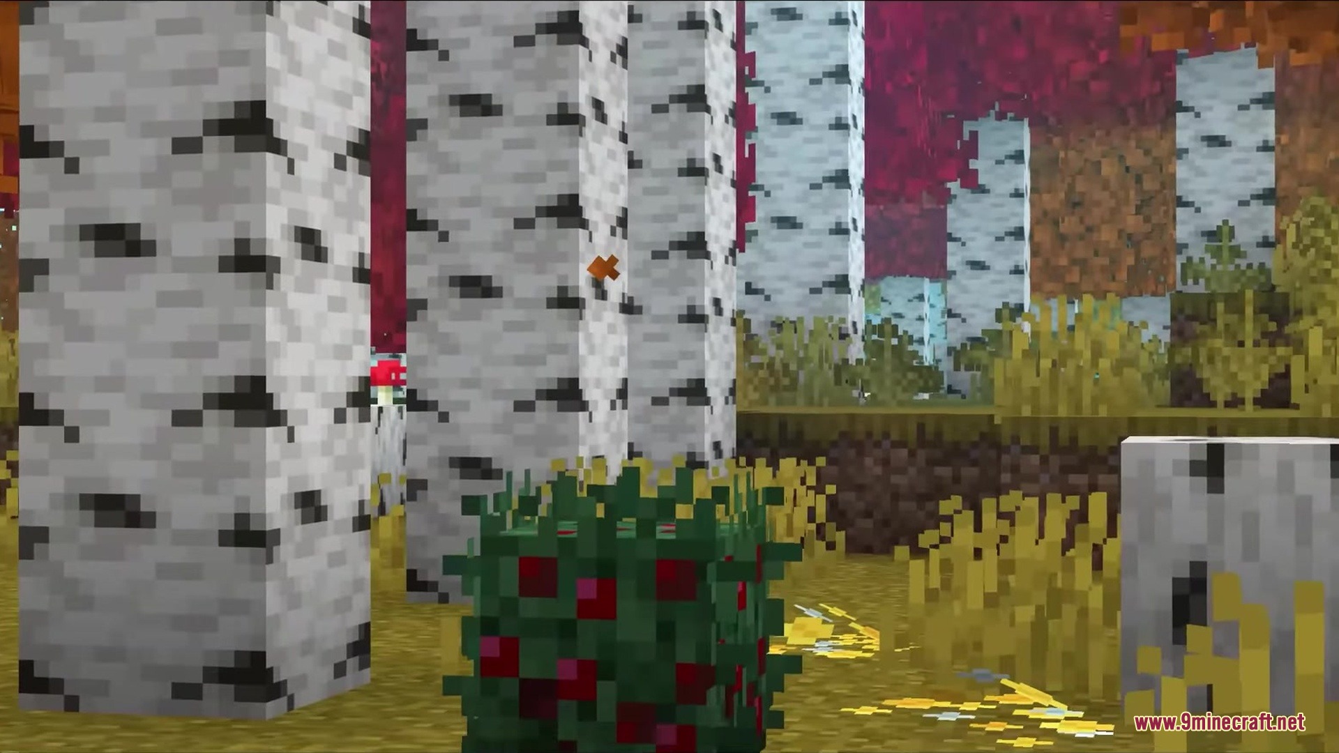 Bushier Bushes Resource Pack adds thick three dimensional models to sweet berry bushes