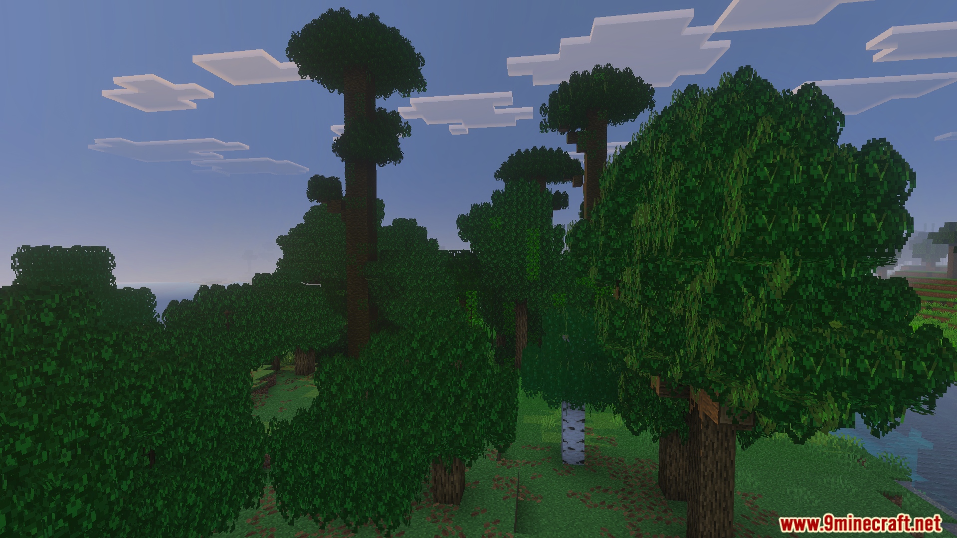 Bushy Trees Texture Pack adds thick and full leaves to a dense forest