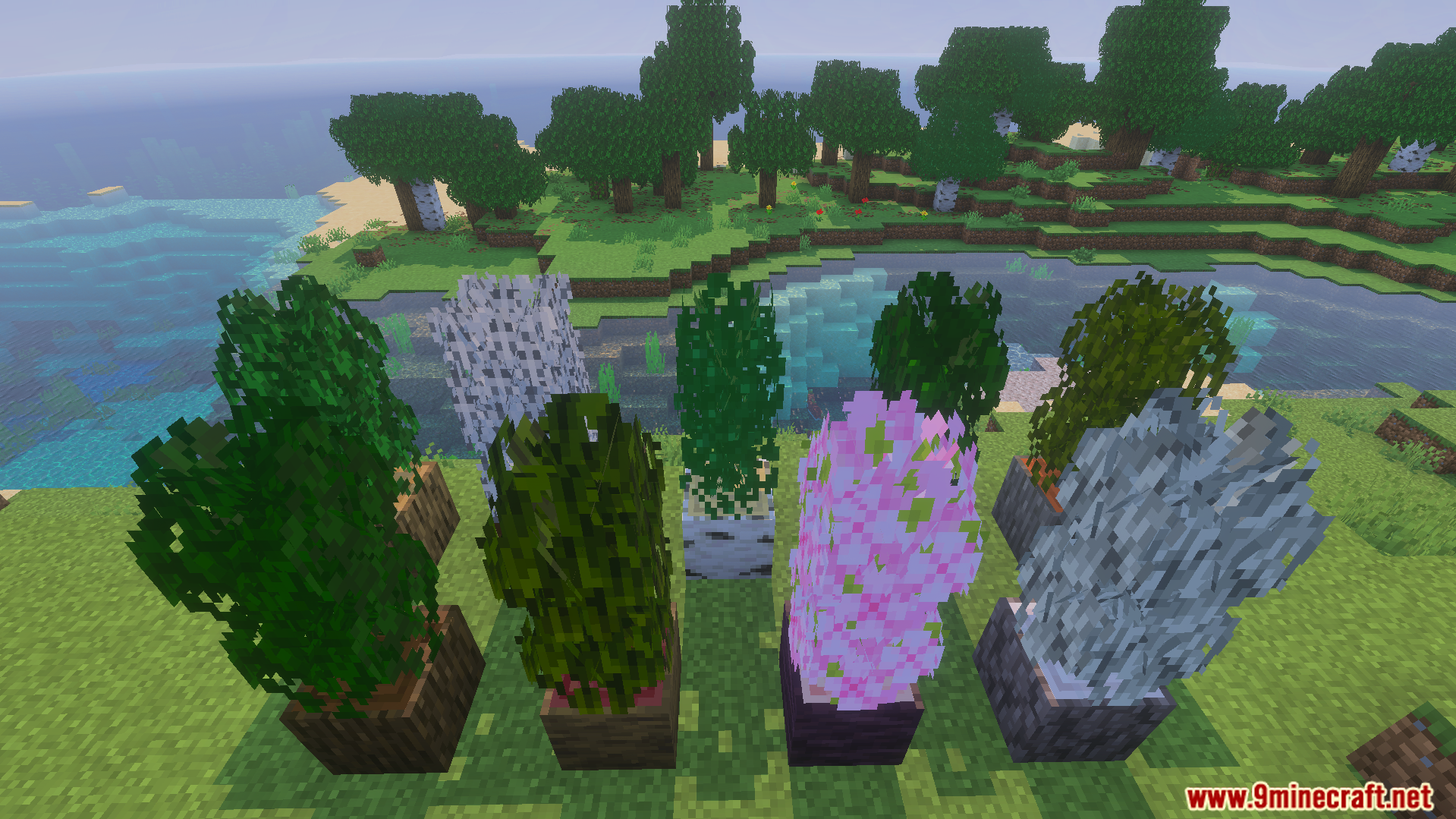 Different styles of bushy leaves displayed on various tree blocks in game