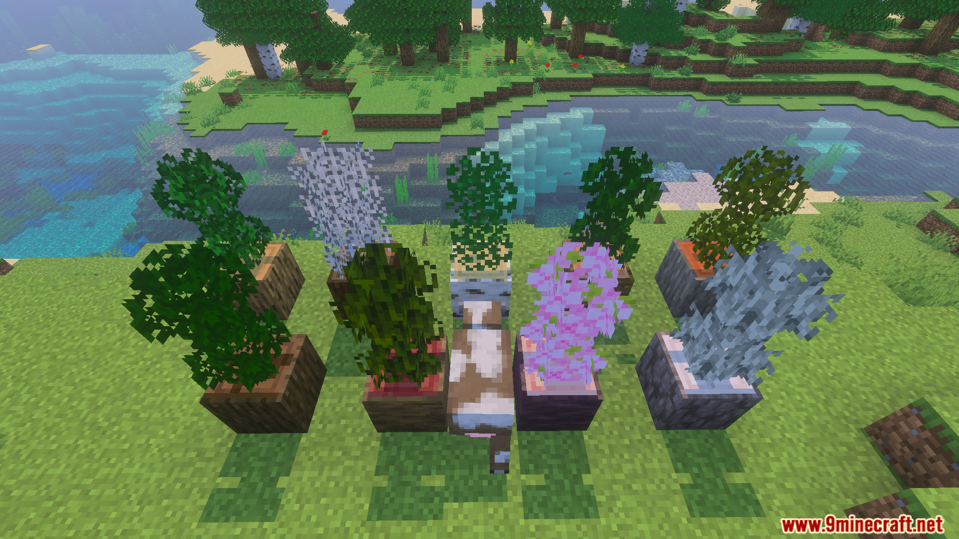 Various small trees with bushy leaf textures in wooden log pots