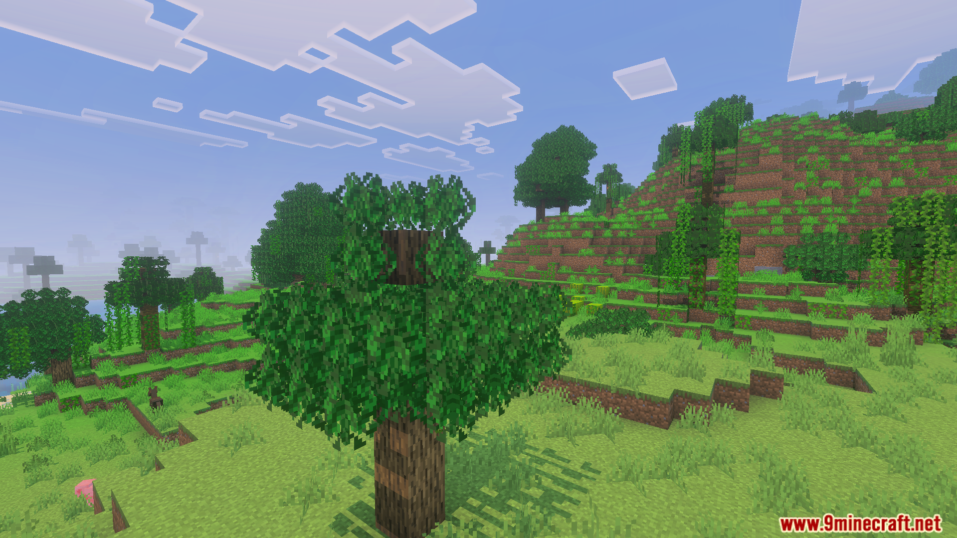 Minecraft trees with thick bushy and fluffy leaves in a dense green forest