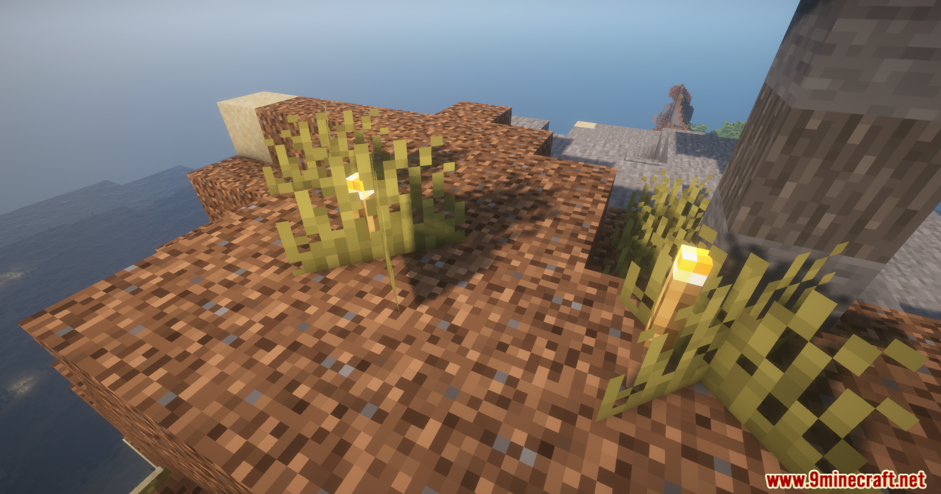 Two torches hidden within patches of tall grass on a dirt platform
