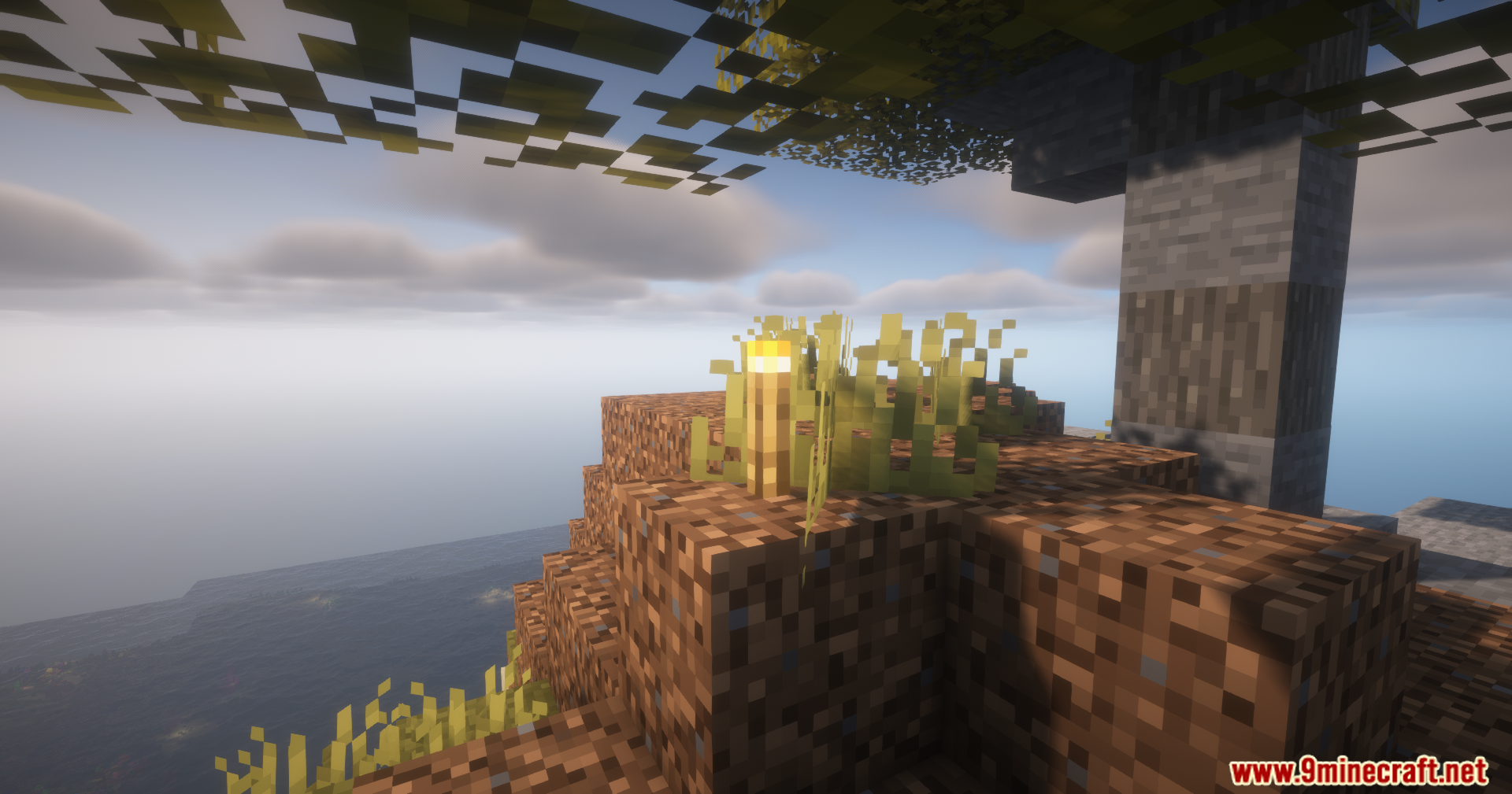 A torch placed inside a patch of tall grass on dirt blocks