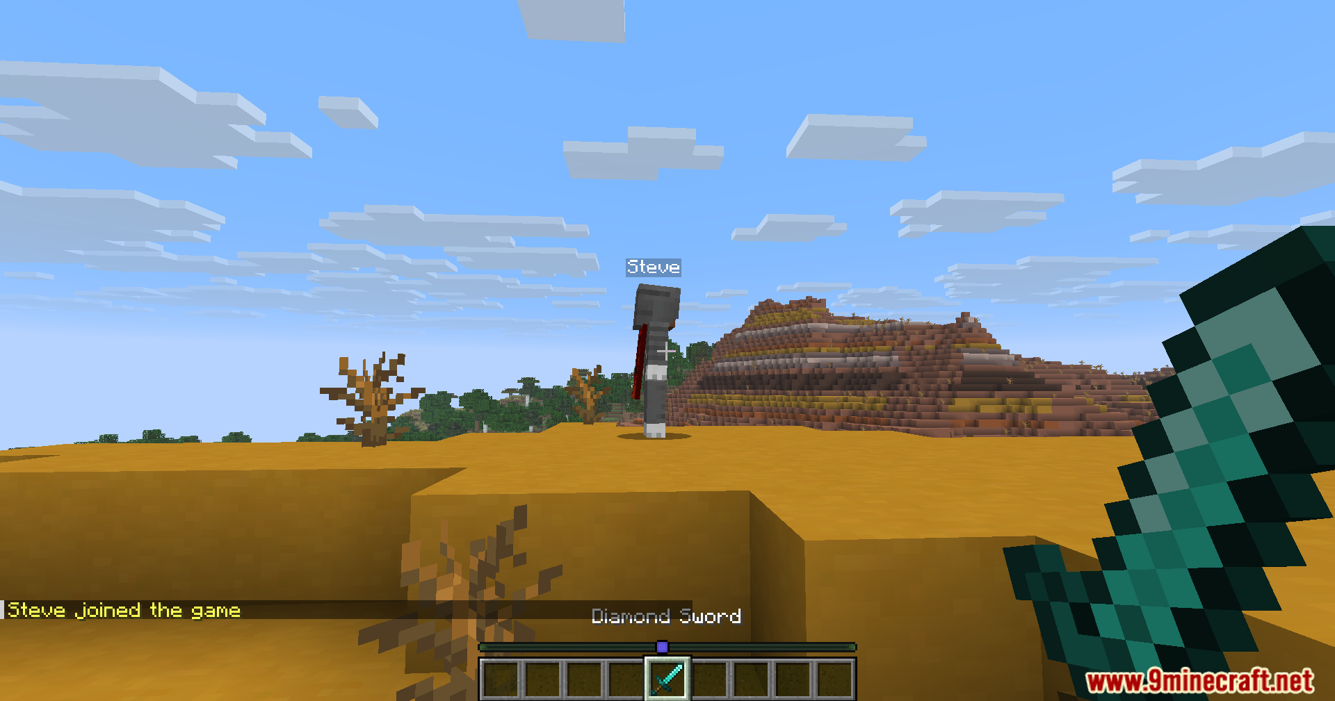 Carpet Crit Fix Mod Screenshot 2 A player holding a diamond sword while a fake player stands nearby