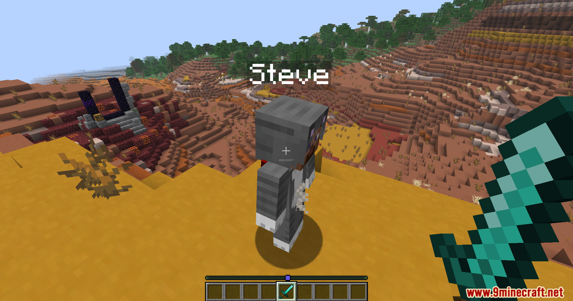 Carpet Crit Fix Mod Screenshot 3 A player named Steve wearing a cat skin stands on a mesa cliff
