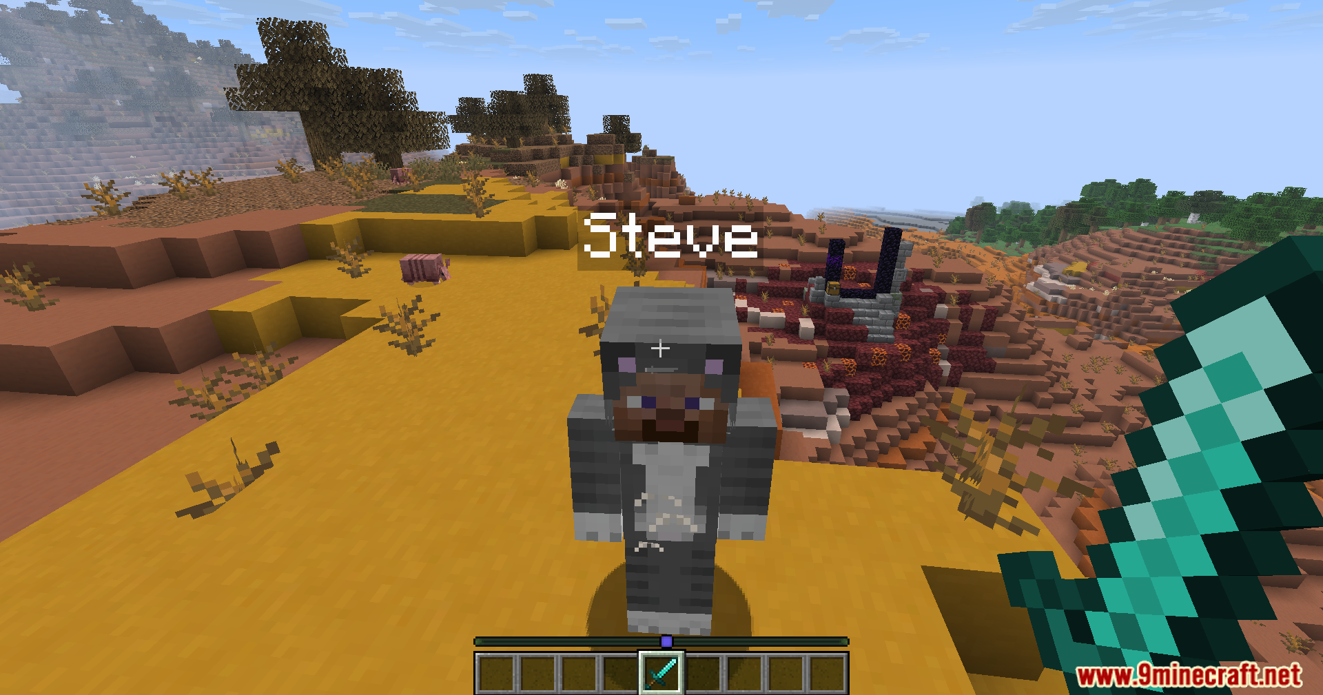 Carpet Crit Fix Mod Screenshot 5 A player named Steve wearing a cat skin stands in a badlands biome