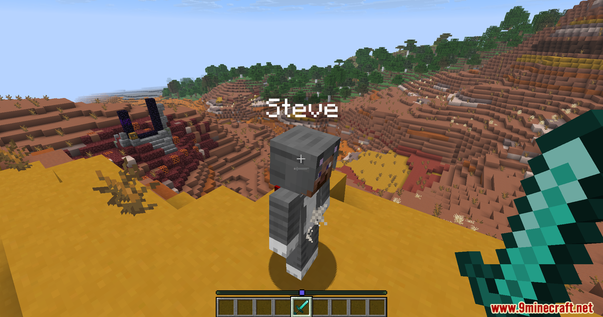 Carpet Crit Fix Mod Screenshot 7 A fake player named Steve wearing a cat skin in the badlands
