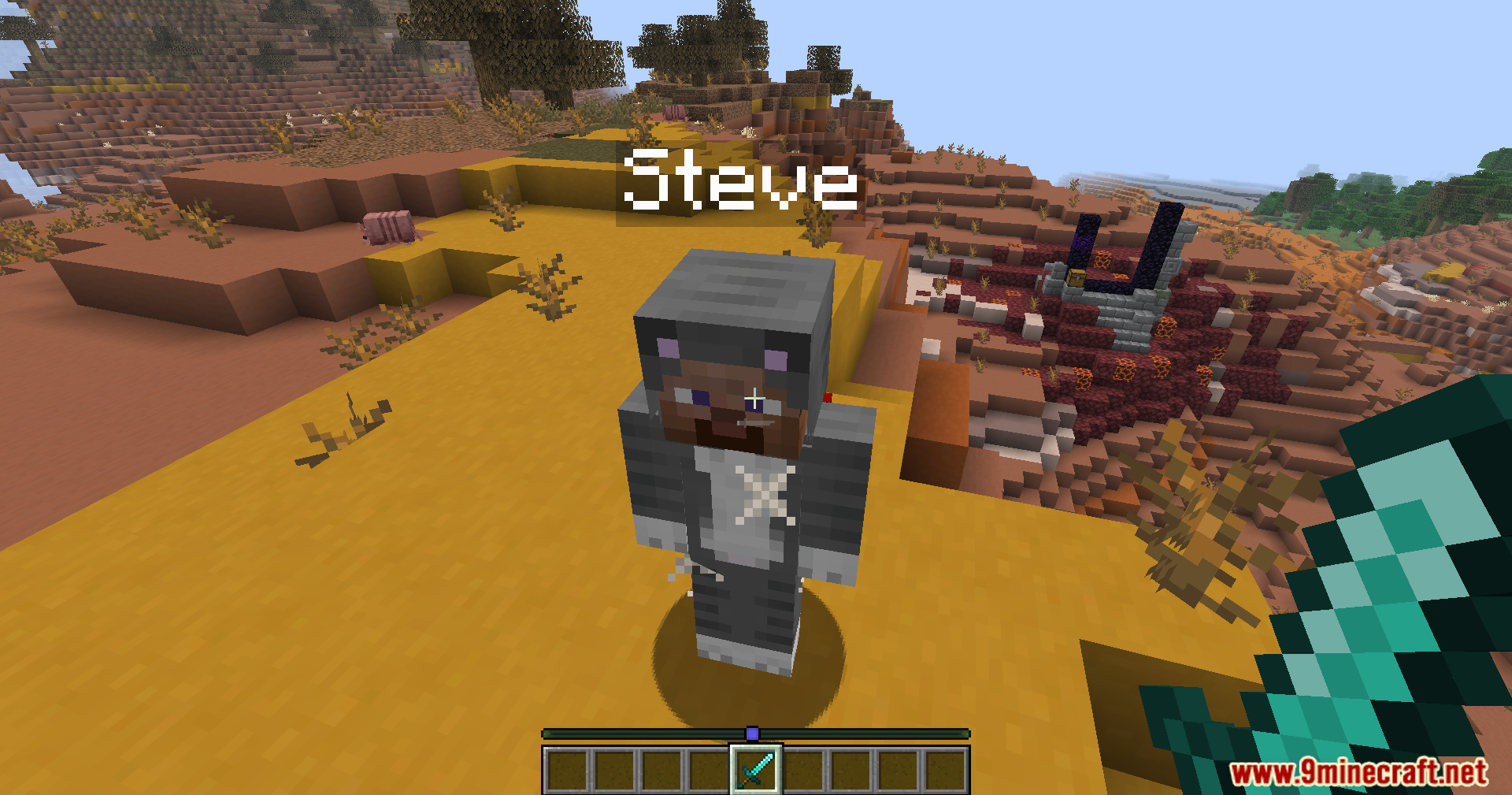 Carpet Crit Fix Mod Screenshot 9 A player named Steve wearing a cat skin stands in a badlands biome