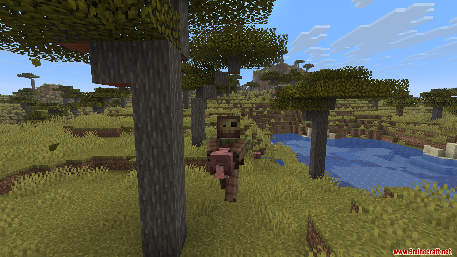 Carry Me Mod Screenshot 5 A Minecraft player carrying a pink pig through a savanna biome landscape