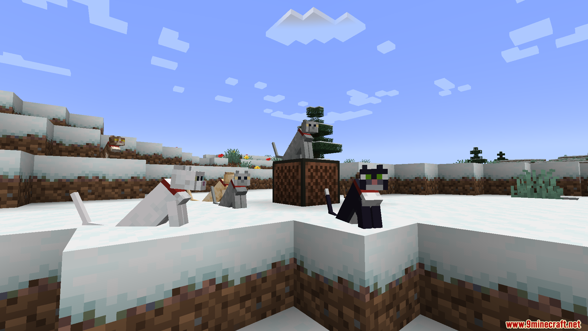 Cat Jam Mod Screenshot 8 Several cats sitting near a jukebox in a snowy Minecraft biome